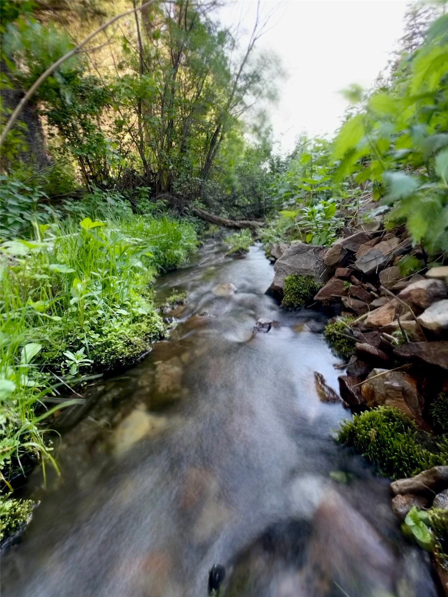 Tbd Soap Gulch Road Property Photo