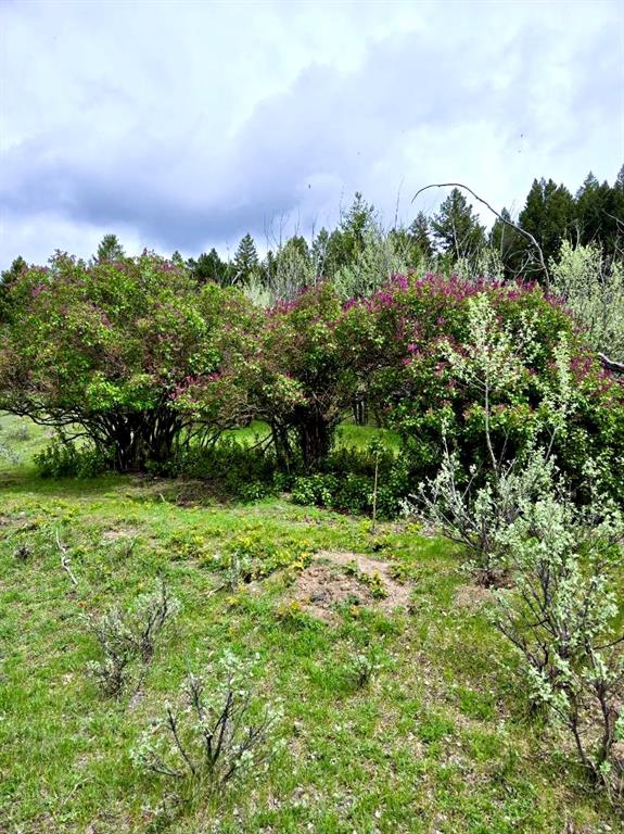 Nhn Ray Flanagan Lane Property Photo 21