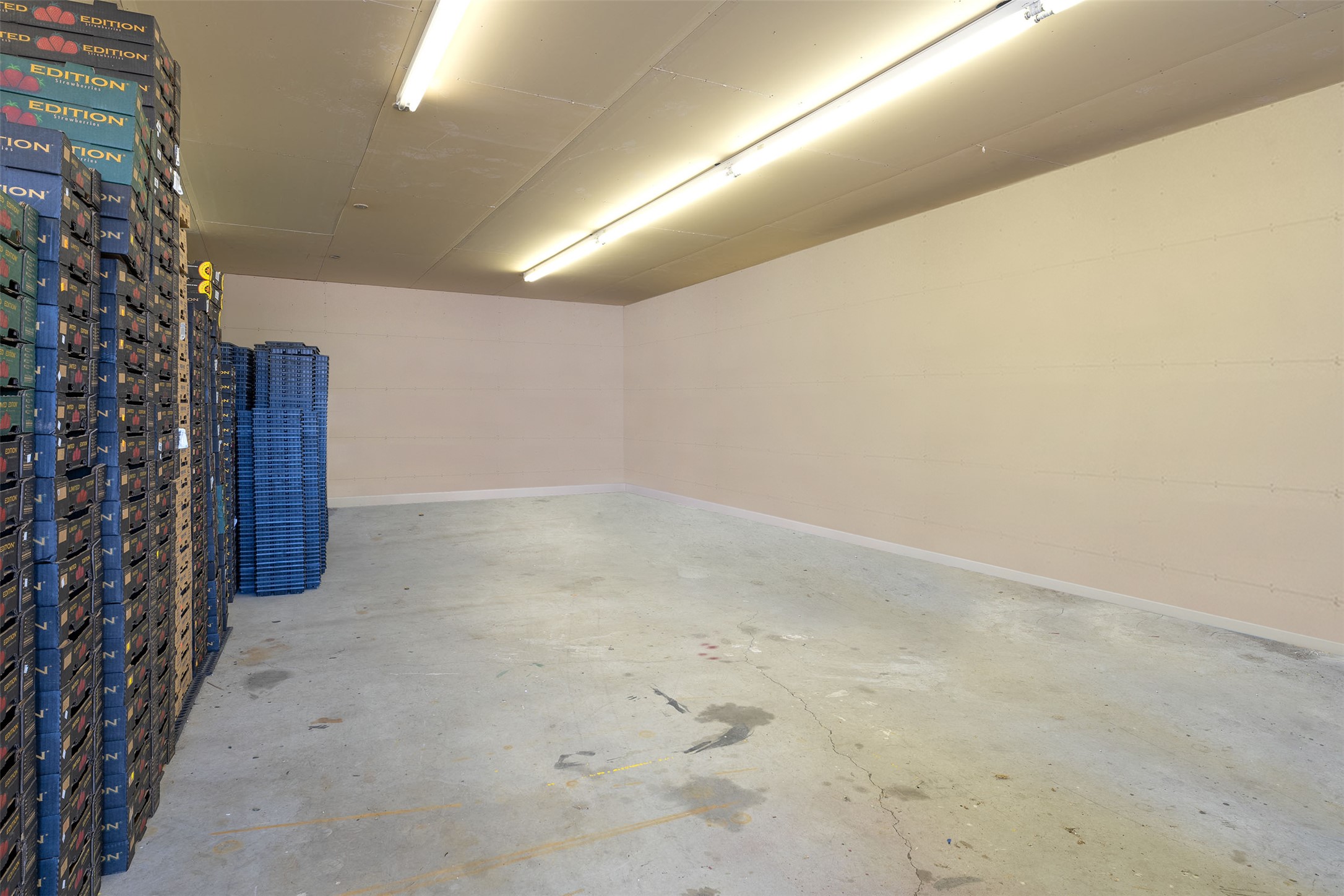 33989 Fox Road Property Photo 13