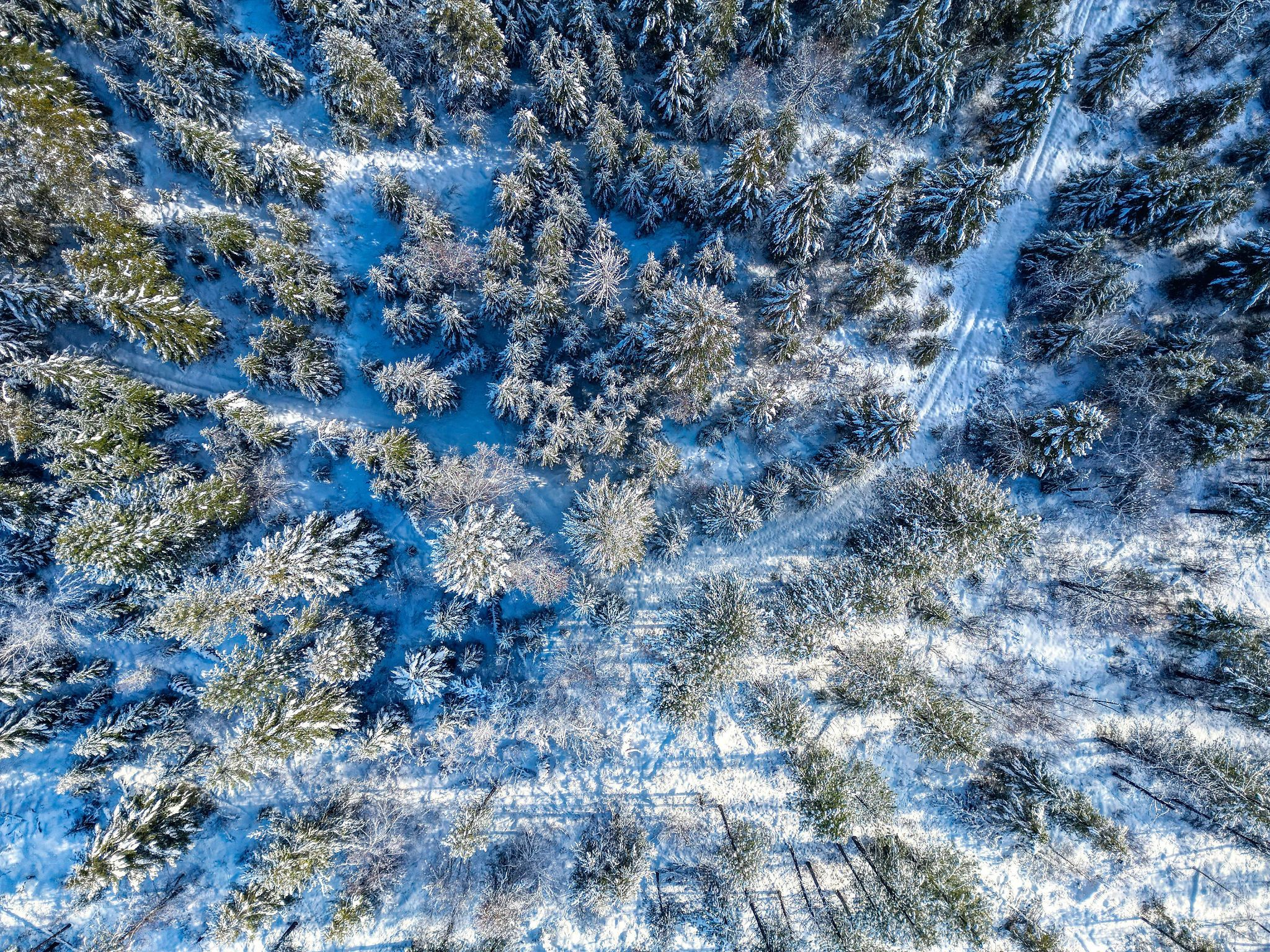 11315 Us Highway 2 E Property Photo 13