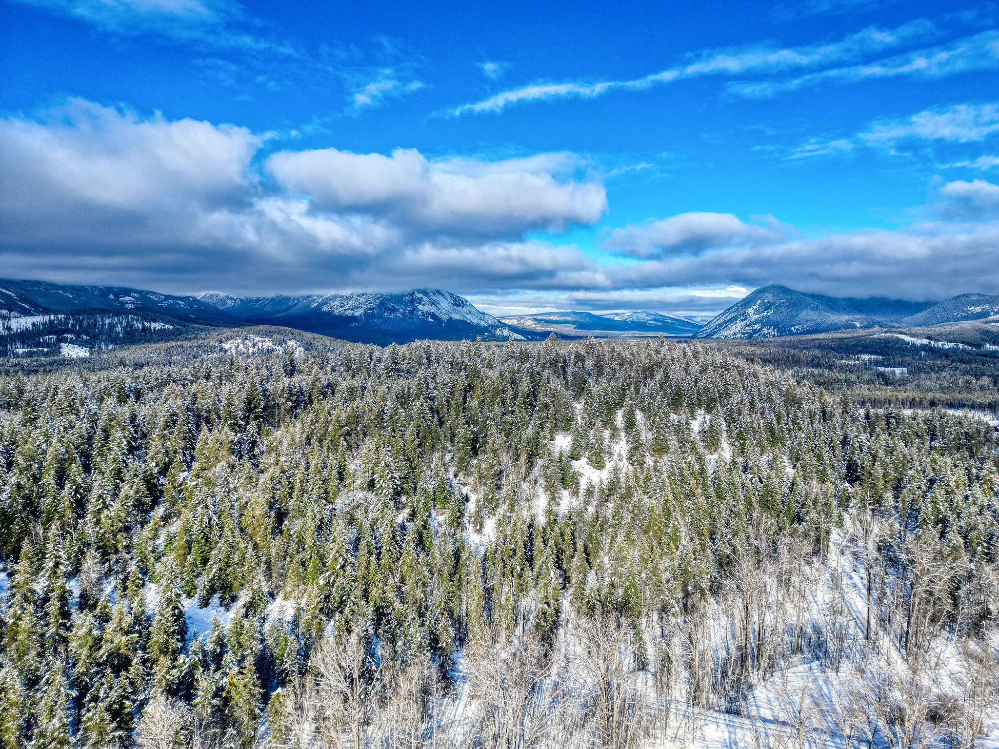 11315 Us Highway 2 E Property Photo 23