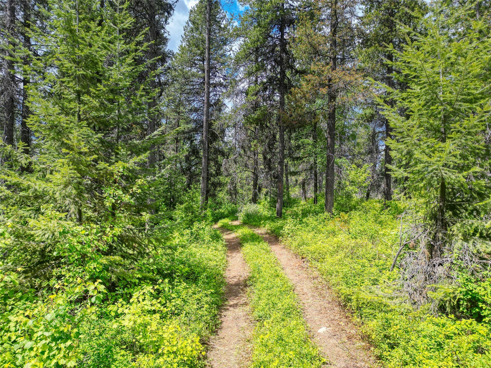 11315 Us Highway 2 E Property Photo 29