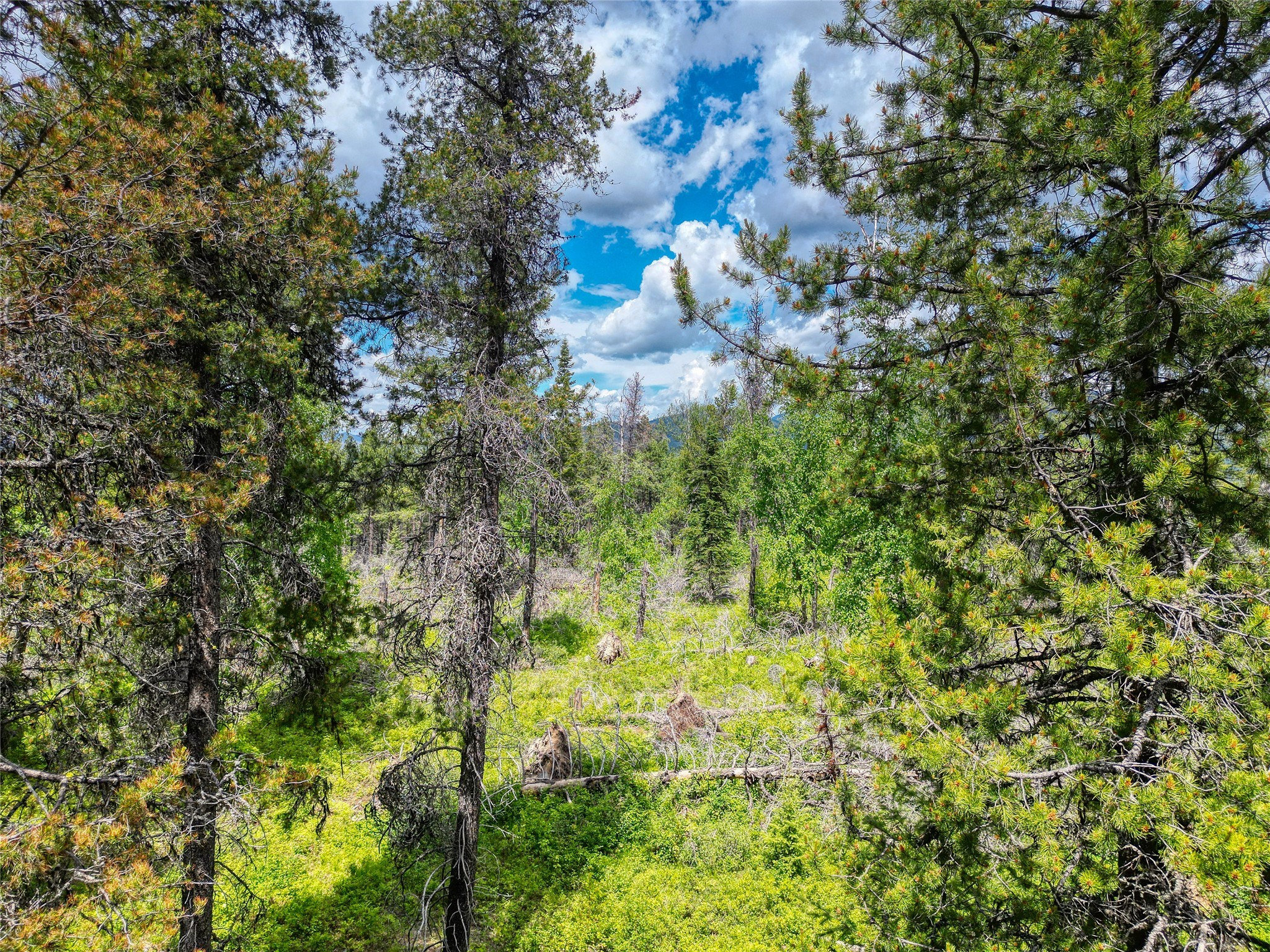 11315 Us Highway 2 E Property Photo 30