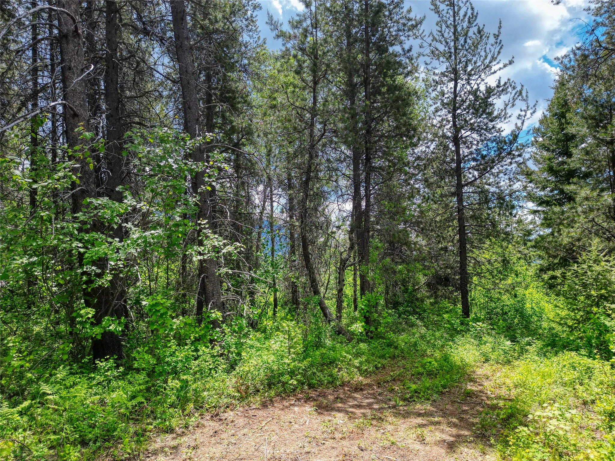 11315 Us Highway 2 E Property Photo 36
