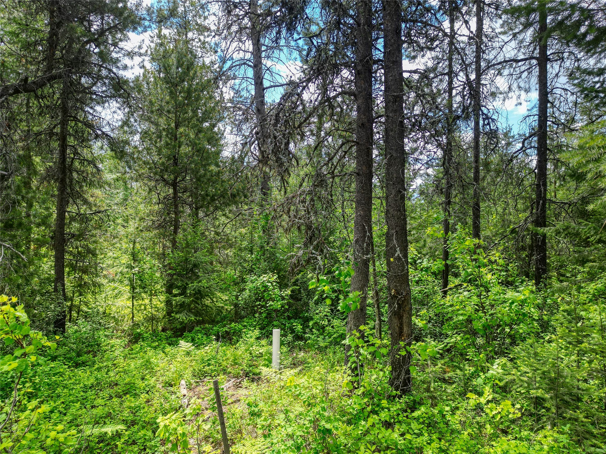 11315 Us Highway 2 E Property Photo 37