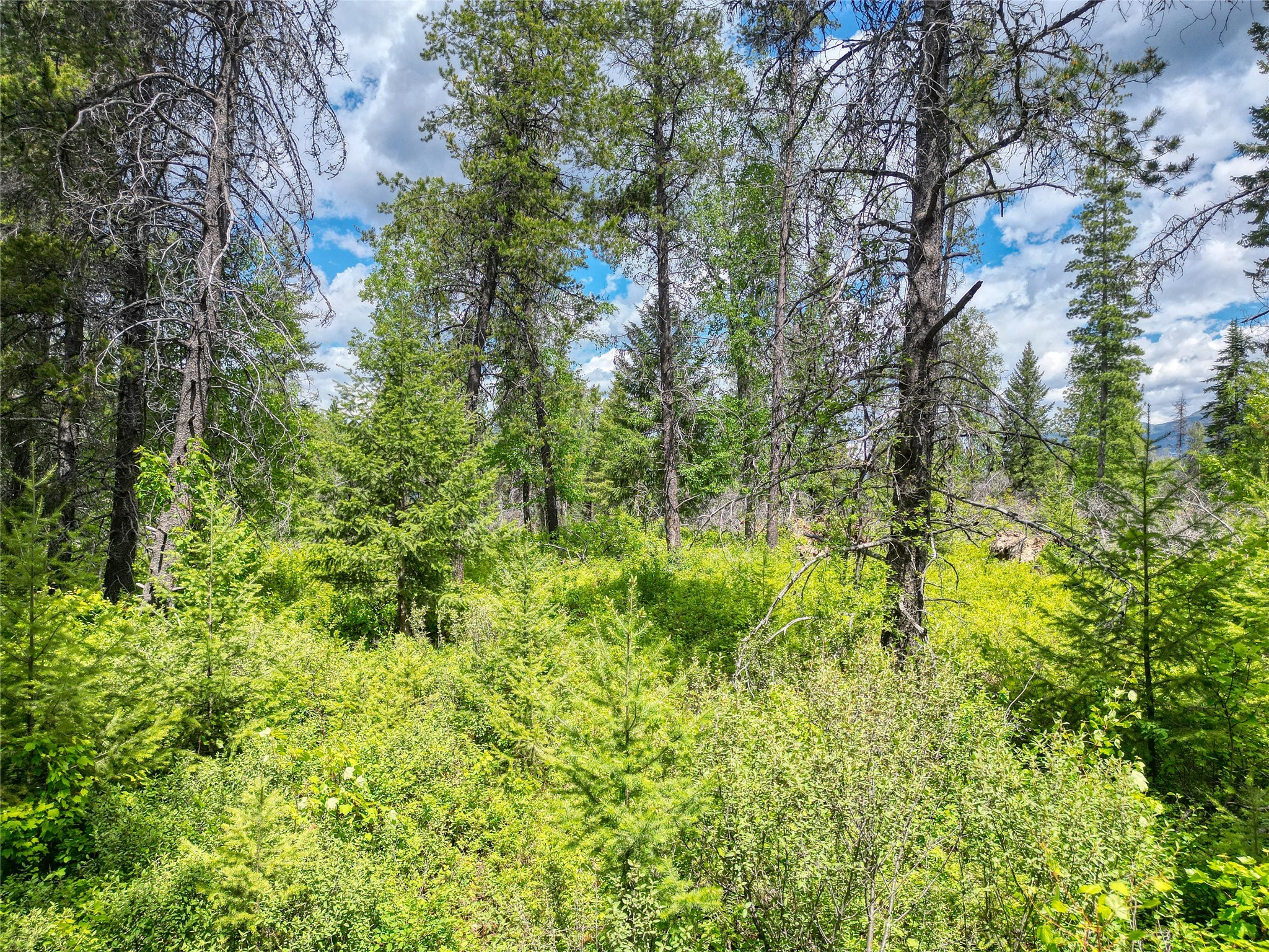 11315 Us Highway 2 E Property Photo 38