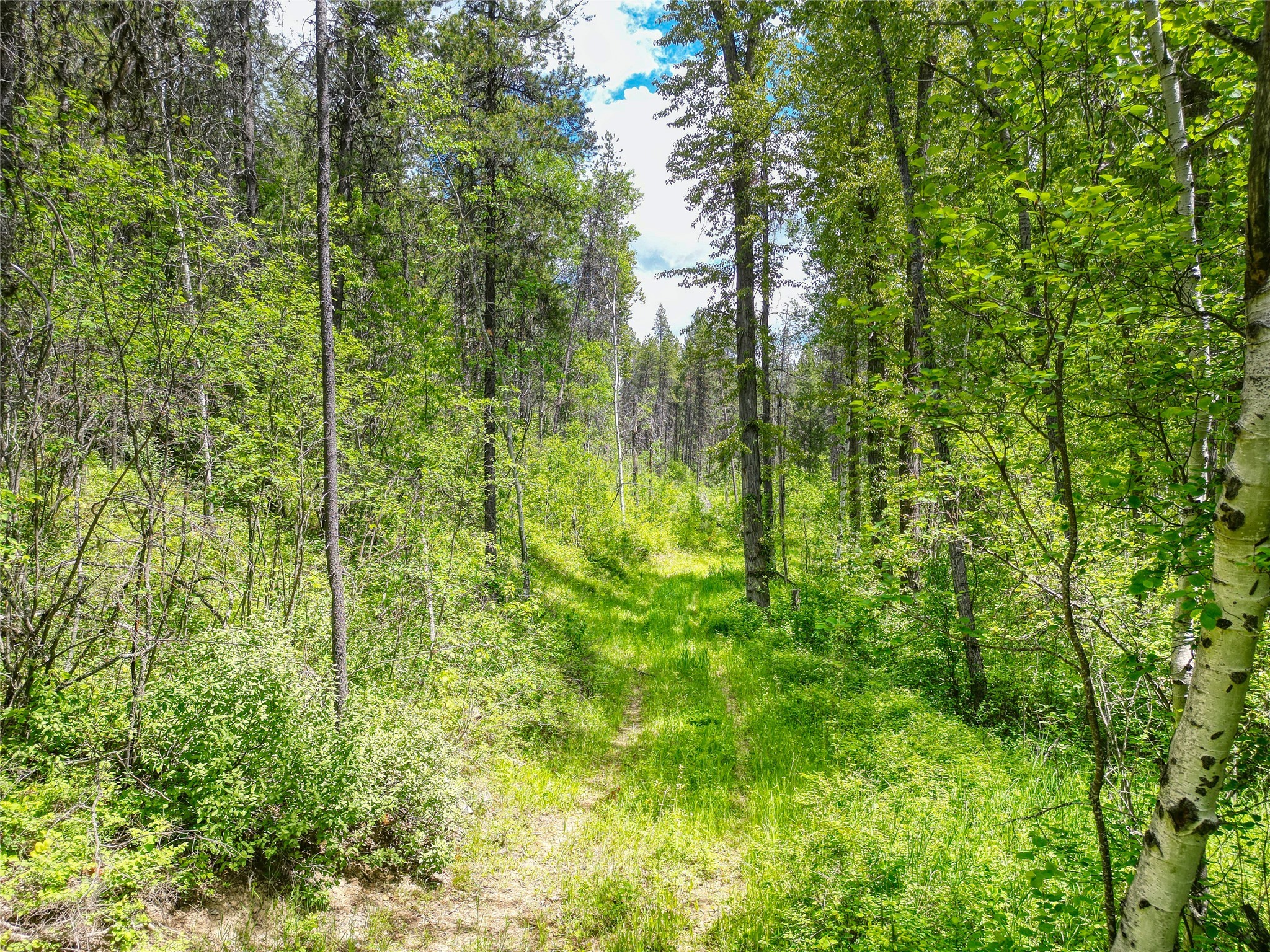 11315 Us Highway 2 E Property Photo 40