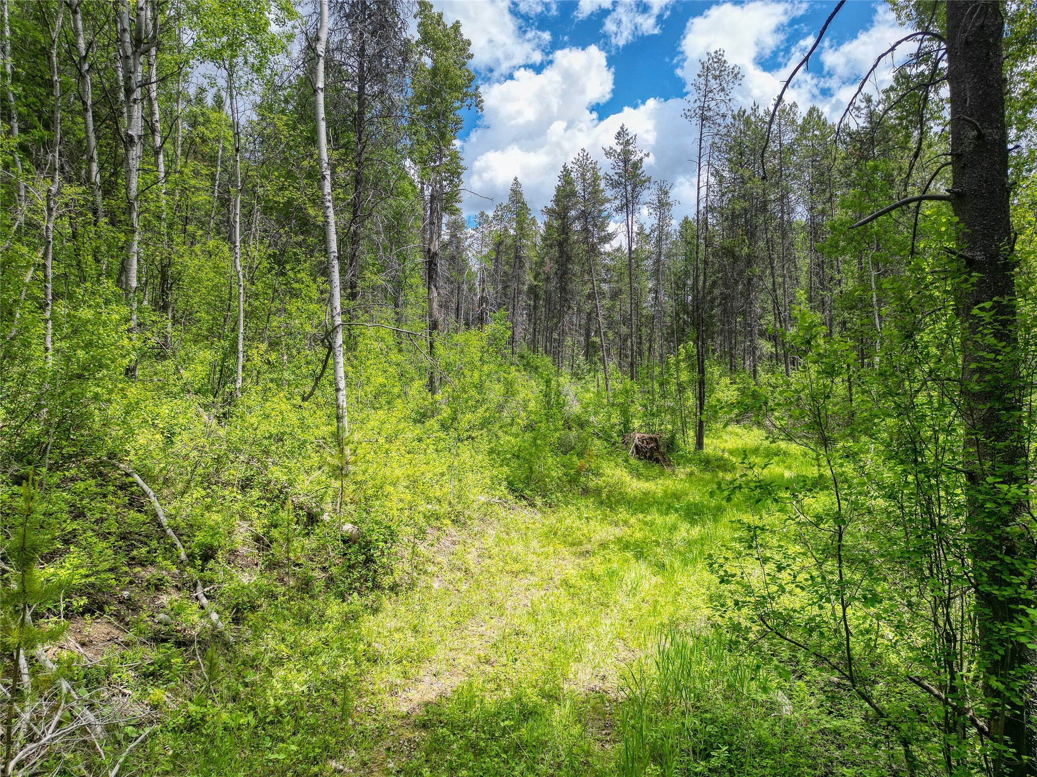 11315 Us Highway 2 E Property Photo 41