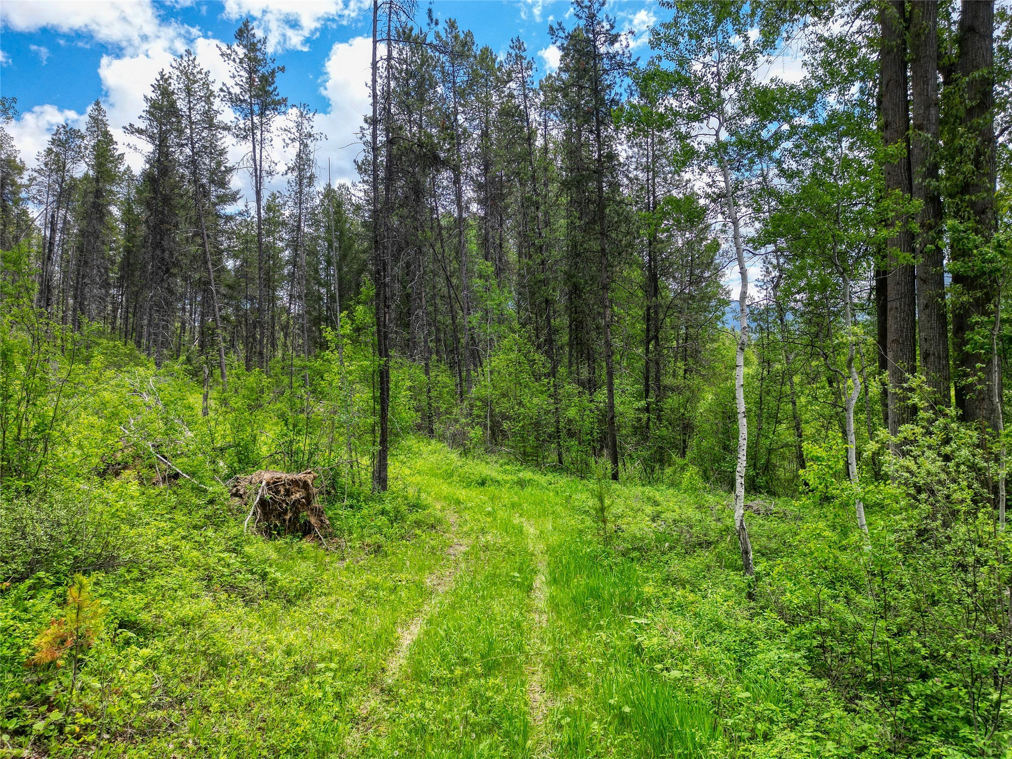 11315 Us Highway 2 E Property Photo 42