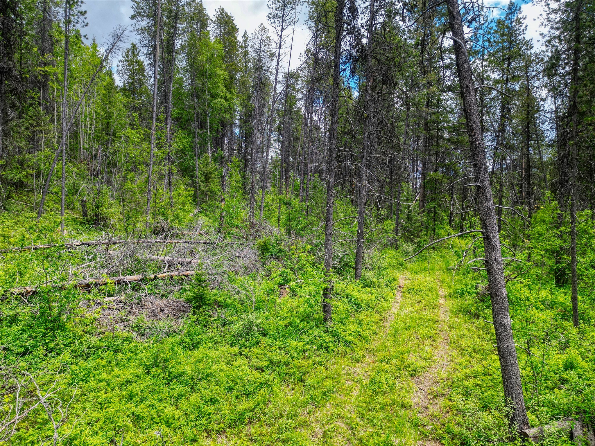 11315 Us Highway 2 E Property Photo 43