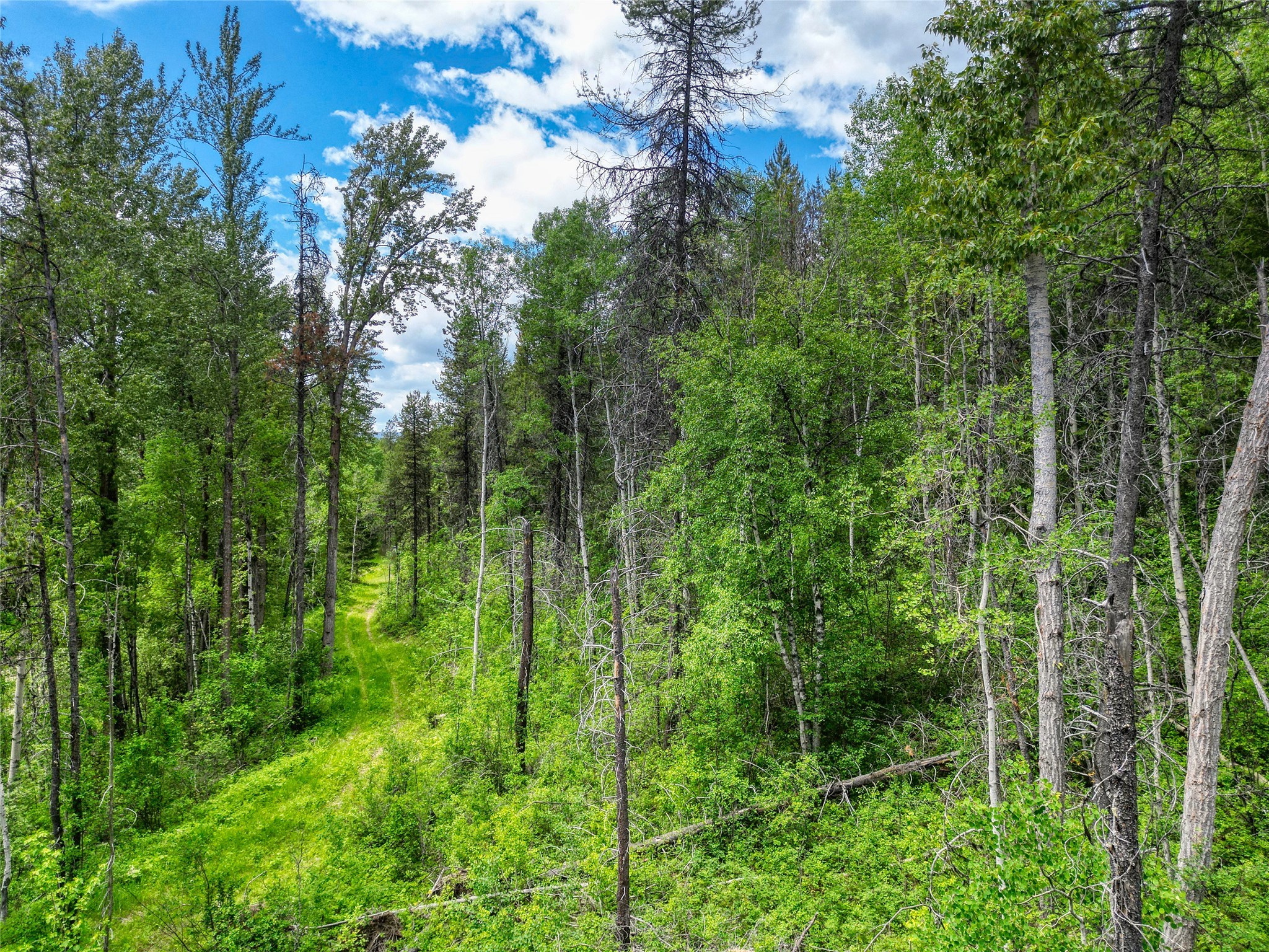 11315 Us Highway 2 E Property Photo 44