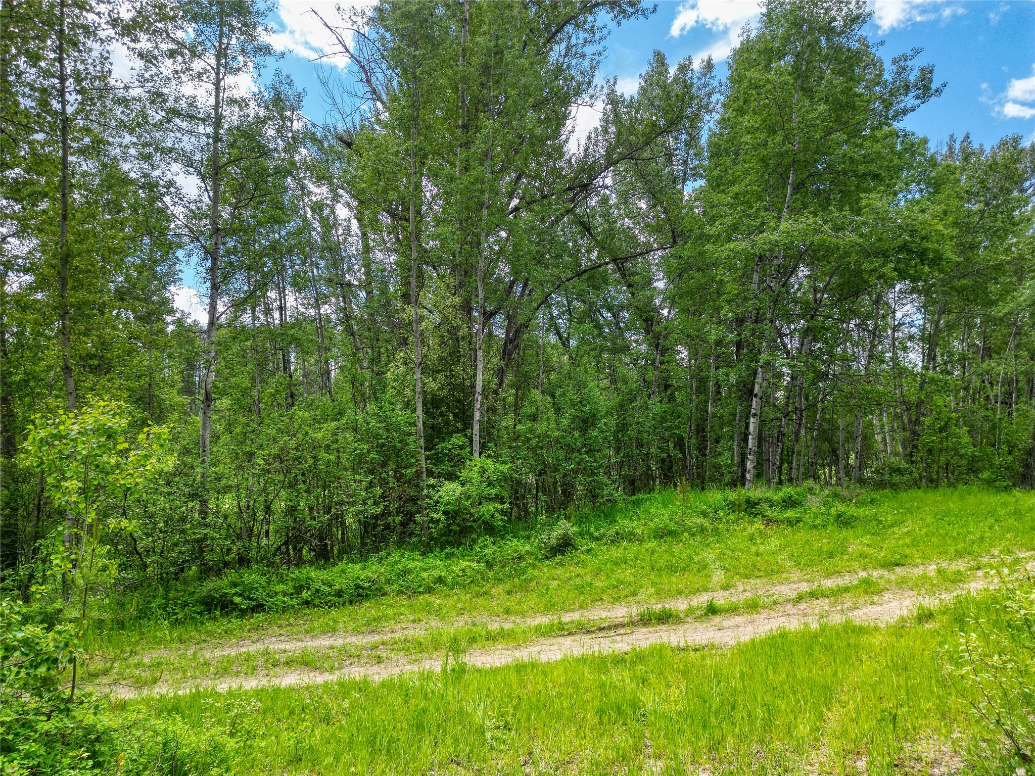 11315 Us Highway 2 E Property Photo 45