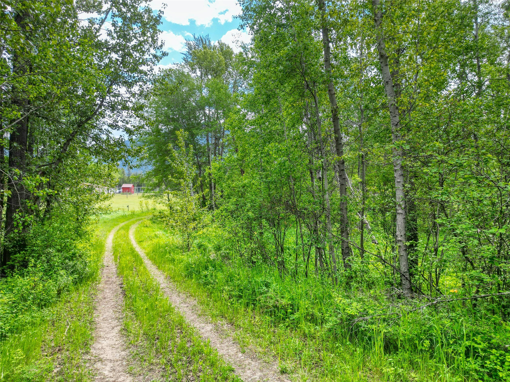 11315 Us Highway 2 E Property Photo 46