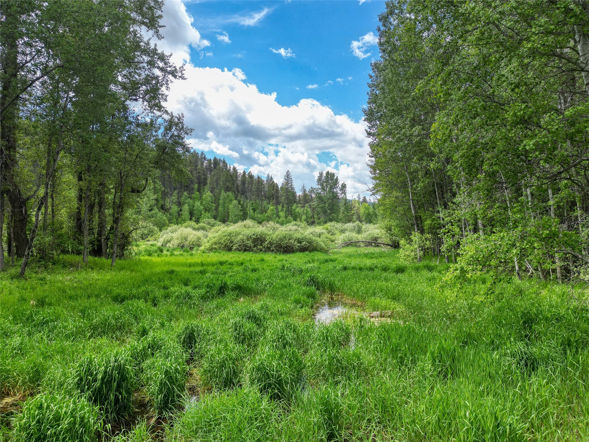 11315 Us Highway 2 E Property Photo 47