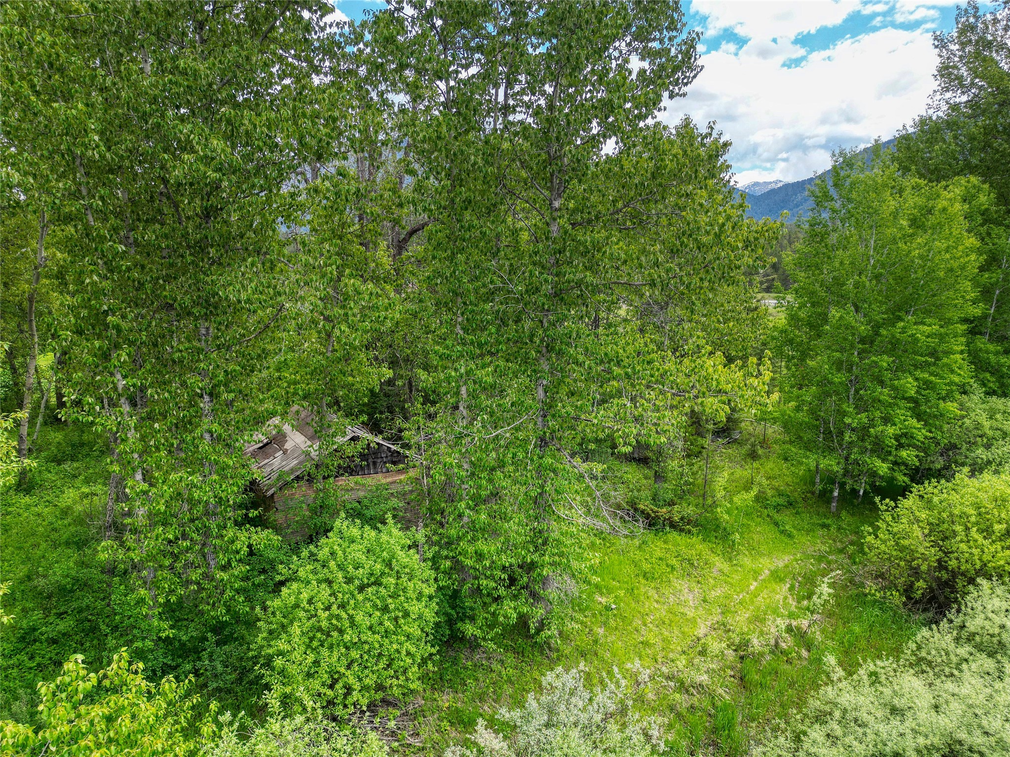 11315 Us Highway 2 E Property Photo 48