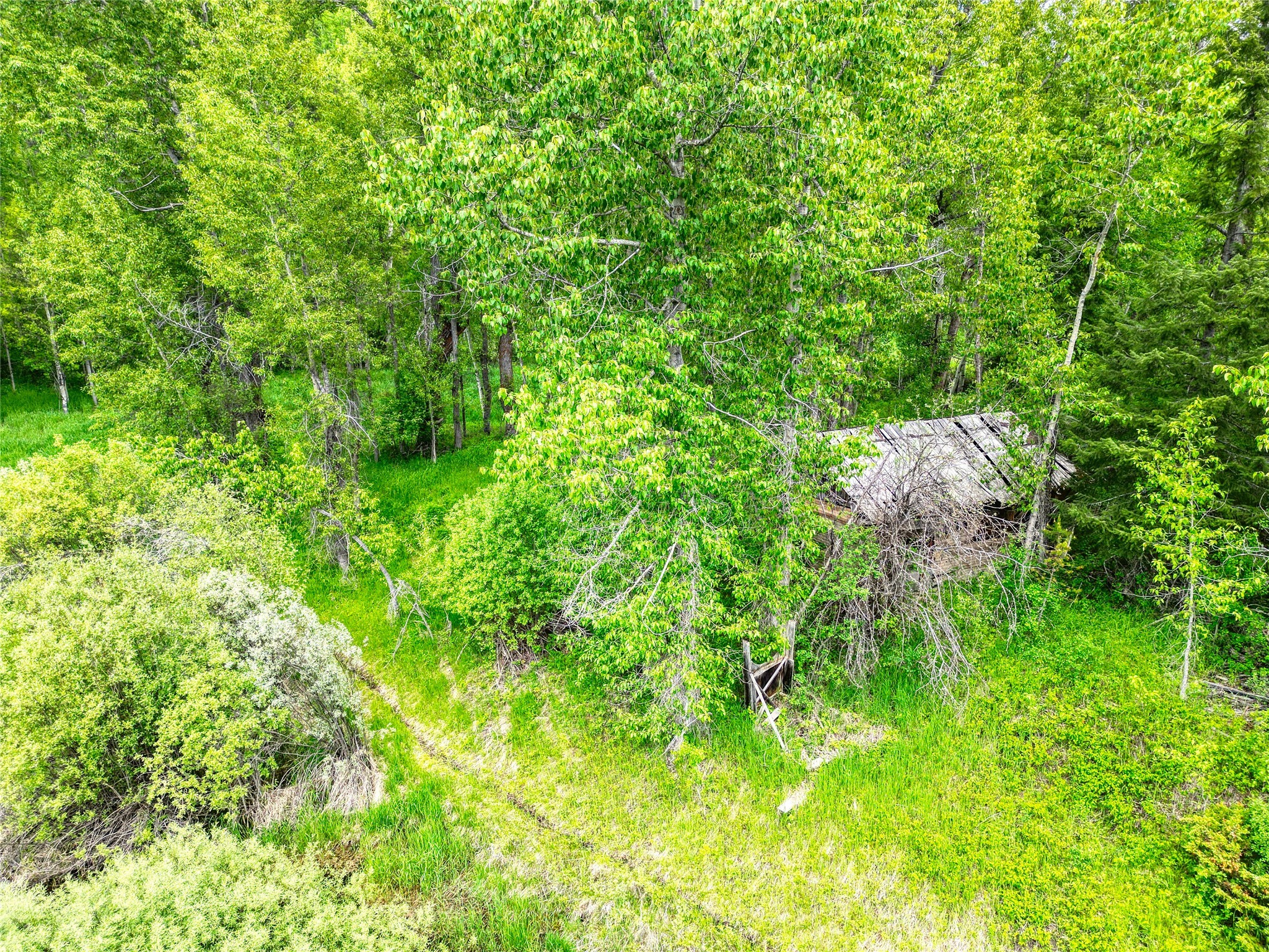 11315 Us Highway 2 E Property Photo 49