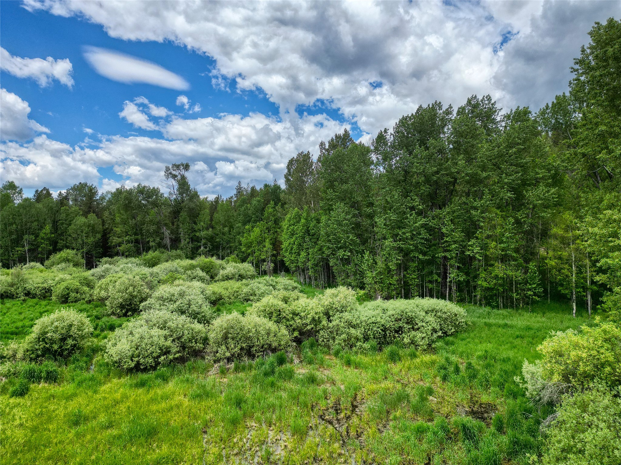 11315 Us Highway 2 E Property Photo 50