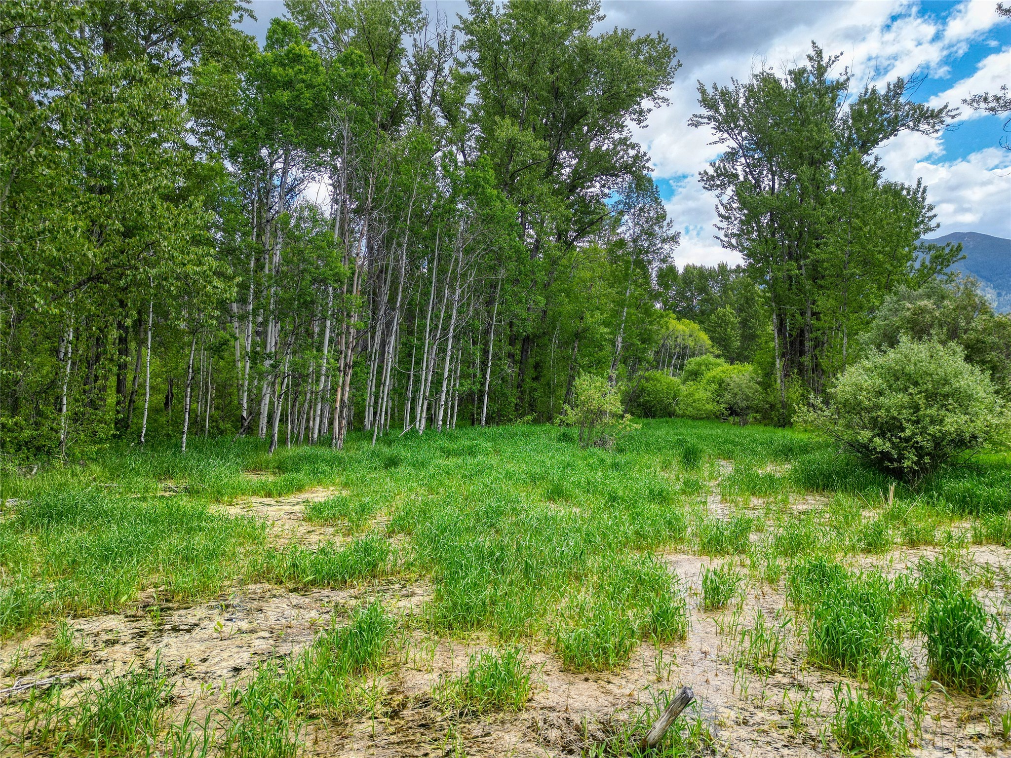 11315 Us Highway 2 E Property Photo 52