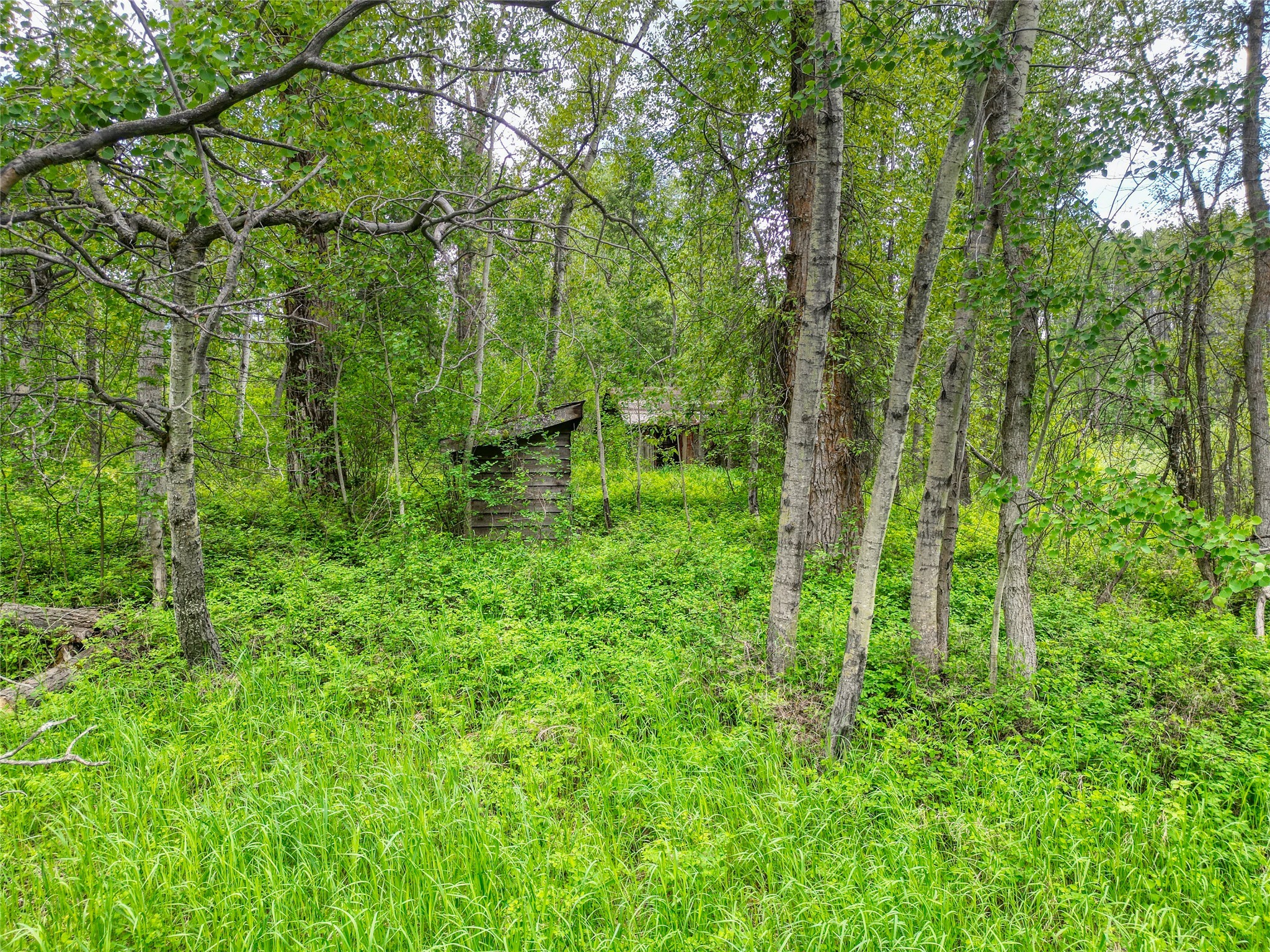 11315 Us Highway 2 E Property Photo 53