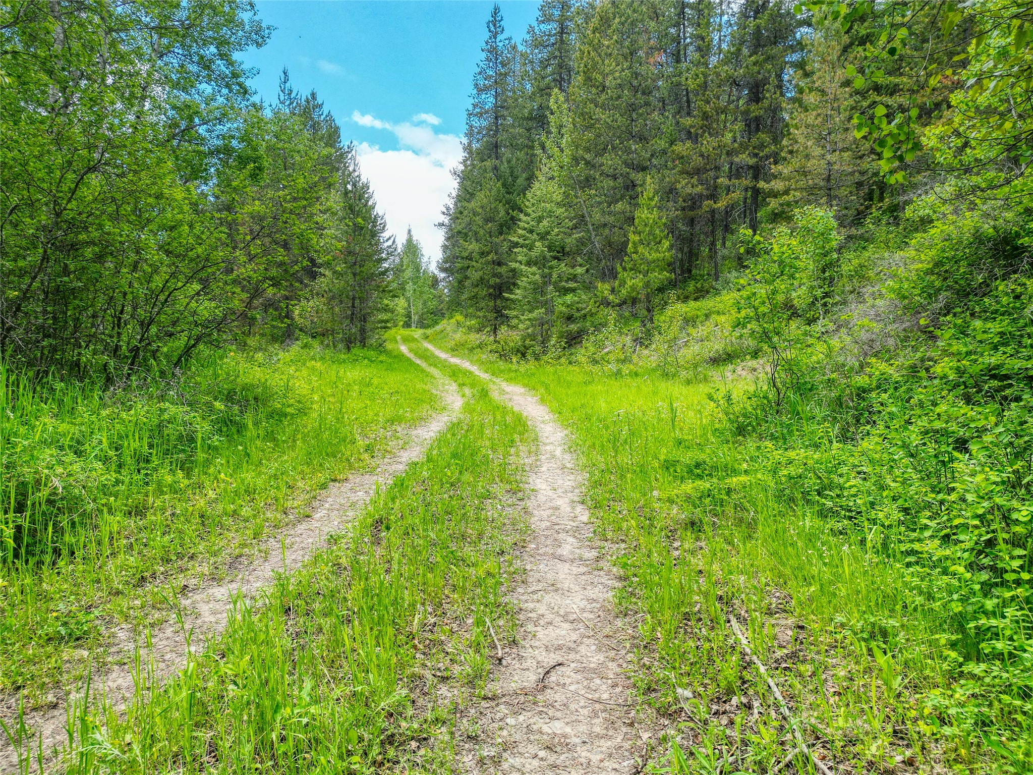 11315 Us Highway 2 E Property Photo 54