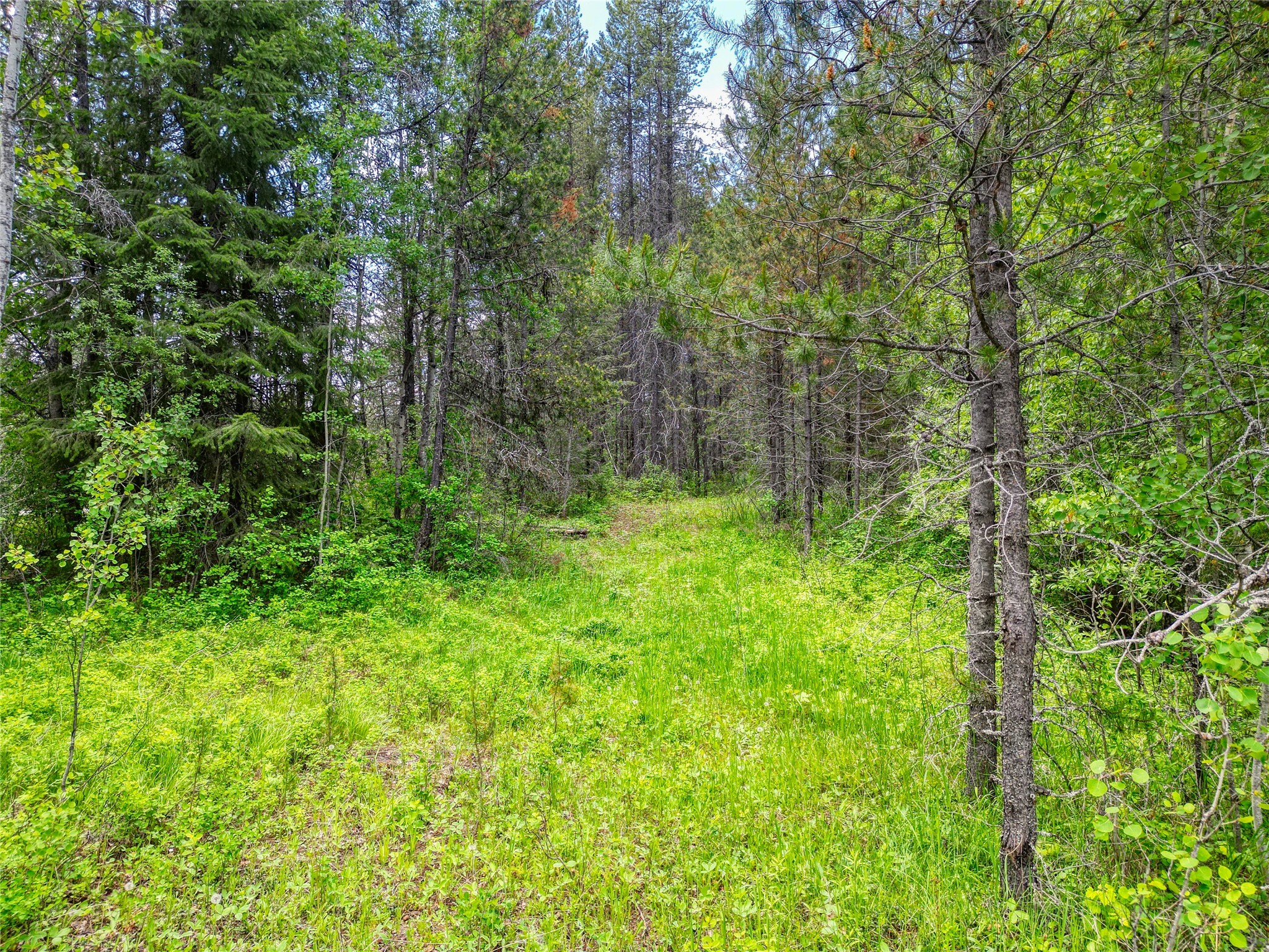 11315 Us Highway 2 E Property Photo 55