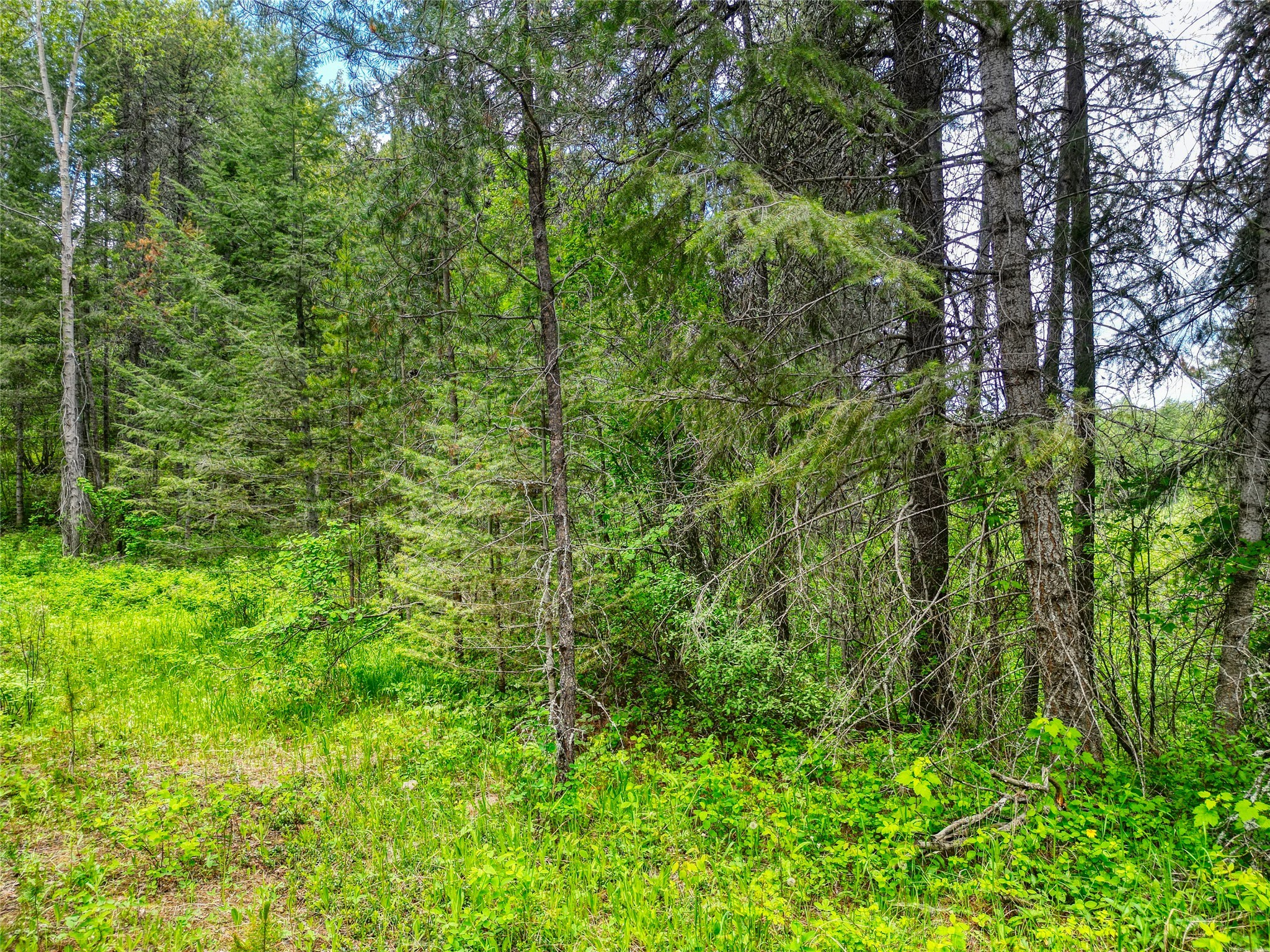 11315 Us Highway 2 E Property Photo 56