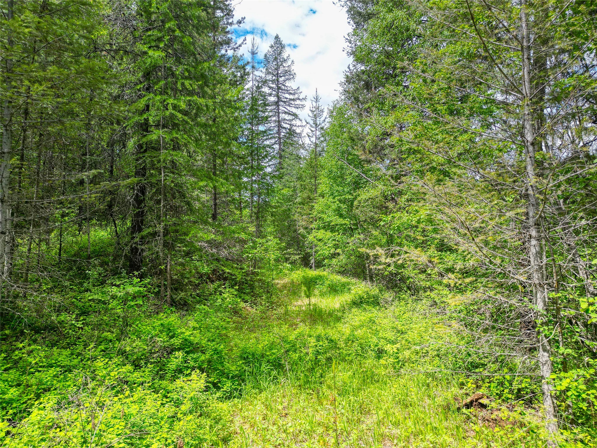 11315 Us Highway 2 E Property Photo 57