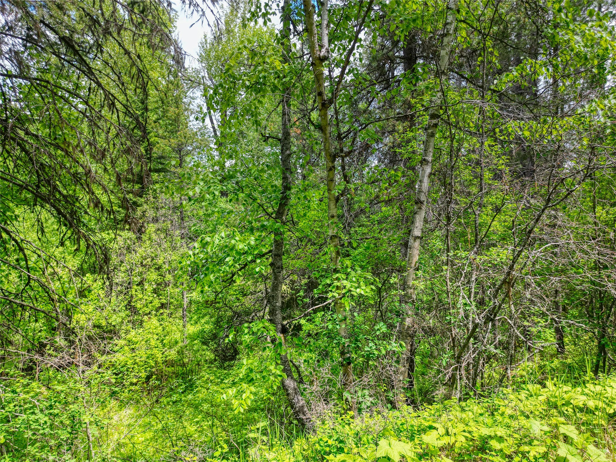 11315 Us Highway 2 E Property Photo 58
