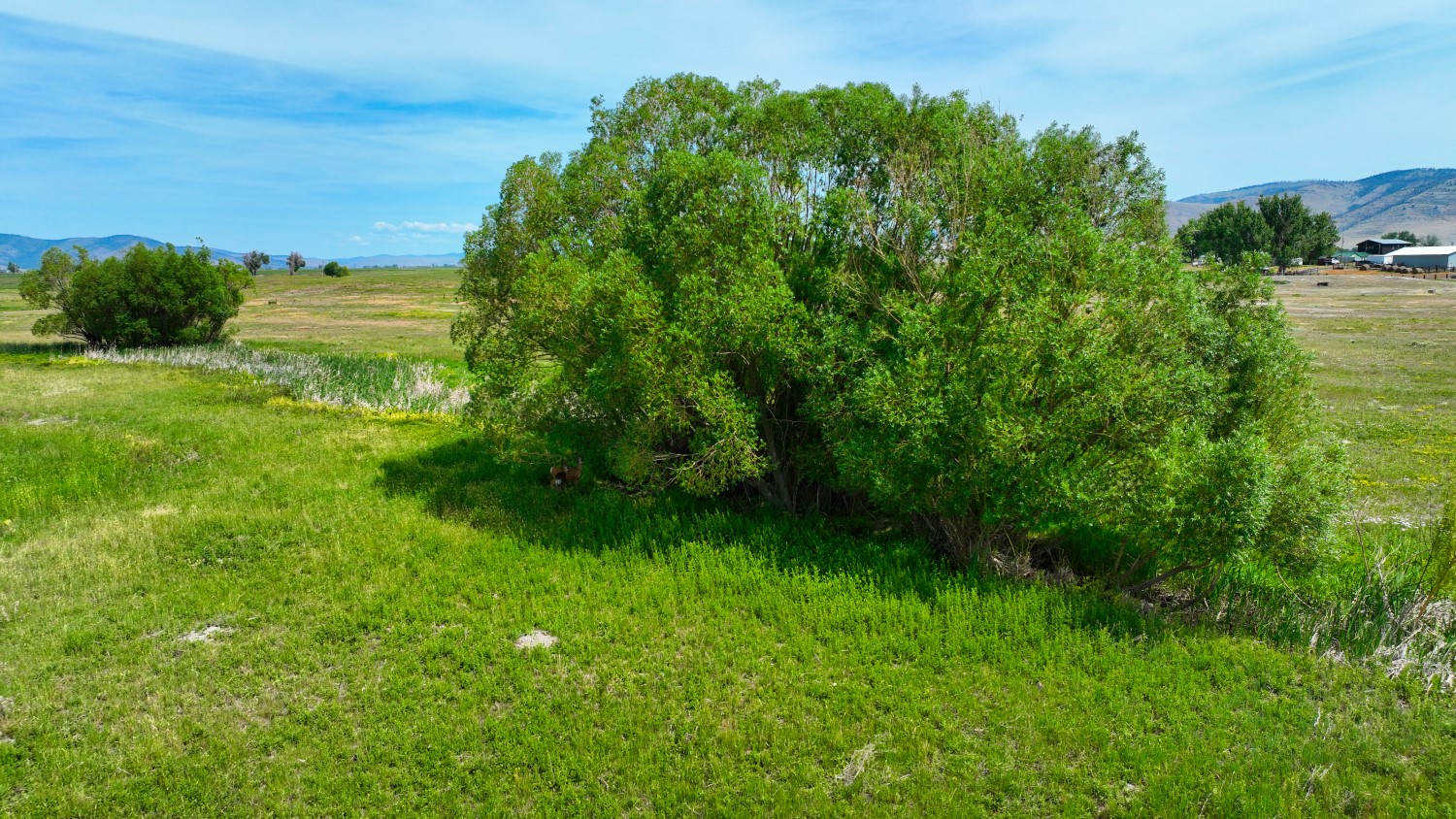 2167 Mt Highway 28 Property Photo 63