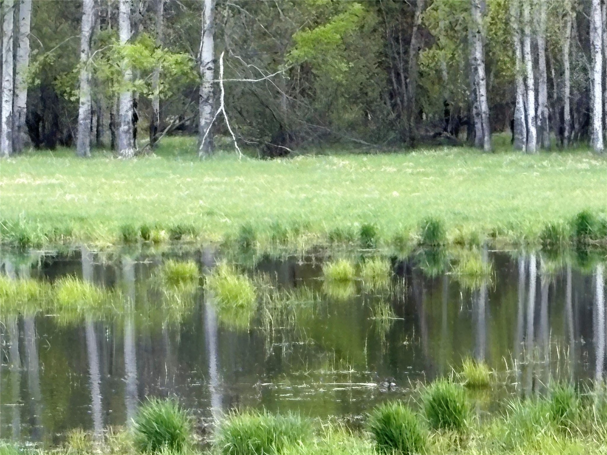 27687 Yaak River Road Property Photo 15