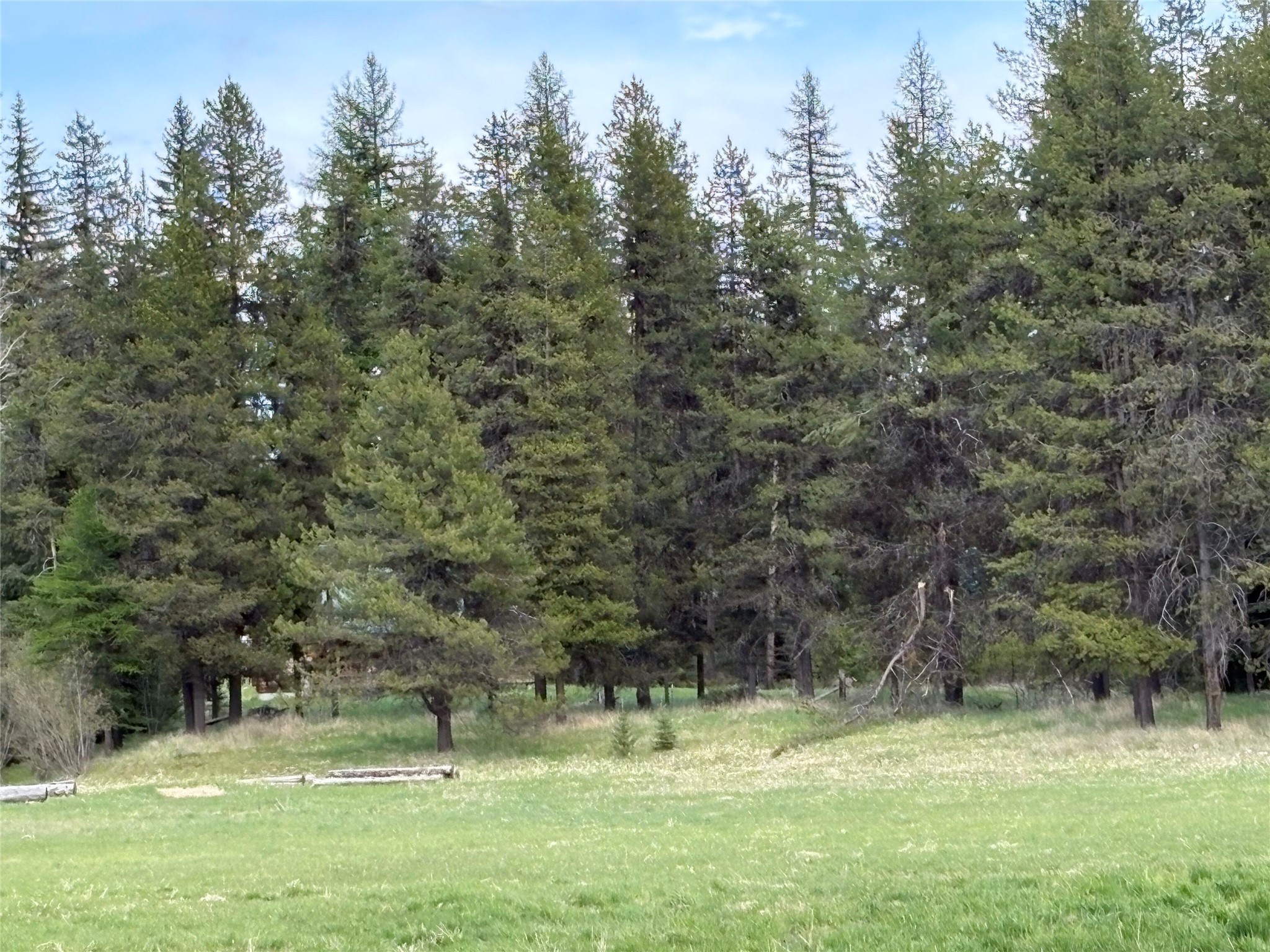 27687 Yaak River Road Property Photo 16