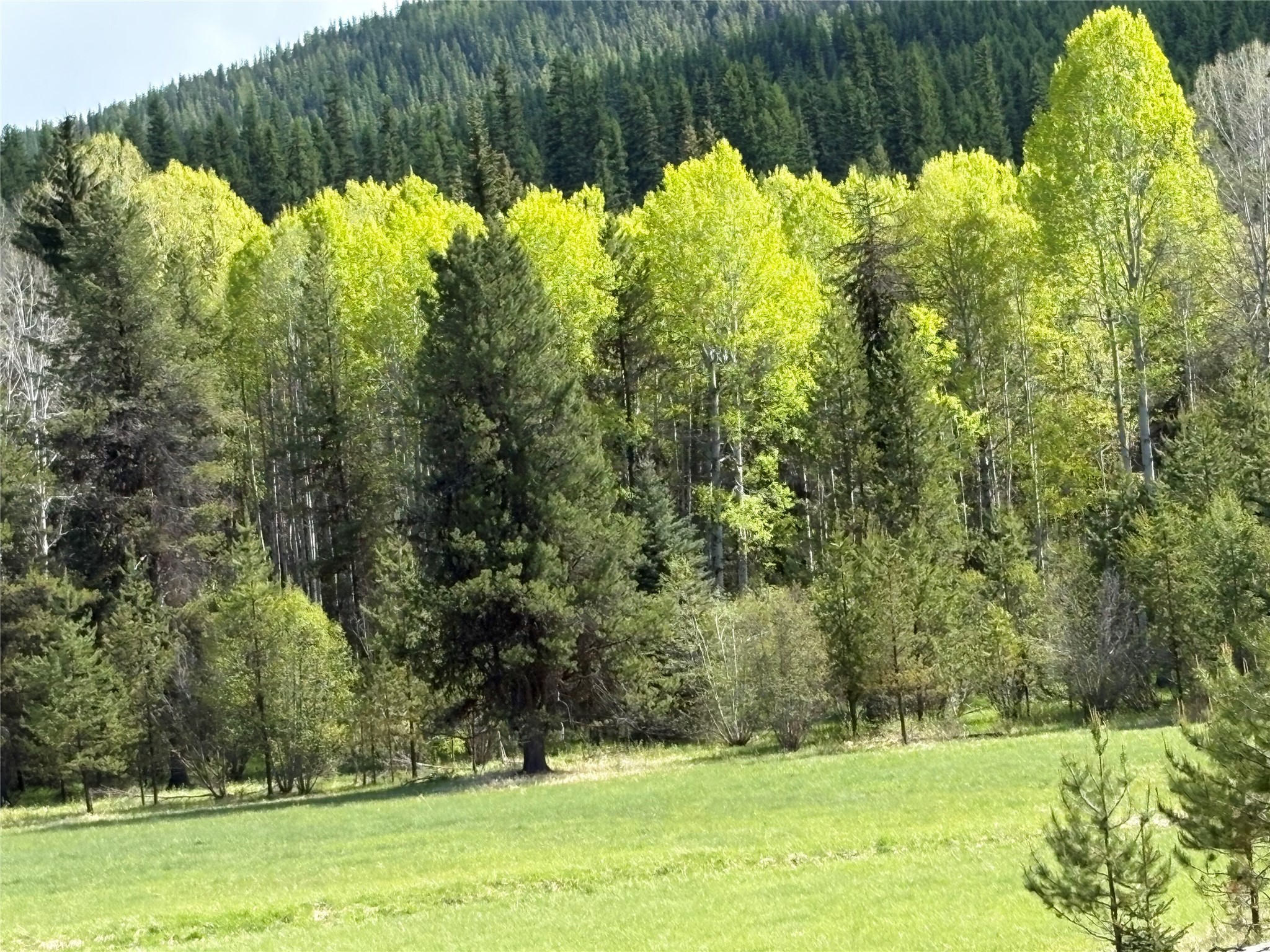 27687 Yaak River Road Property Photo 20