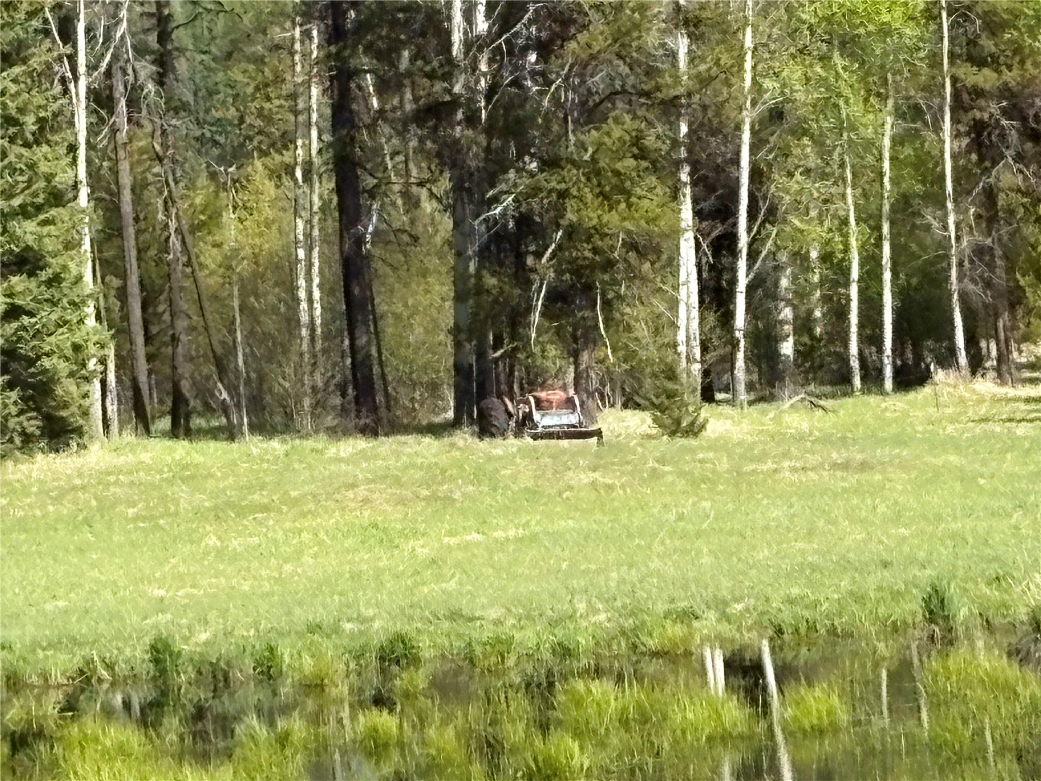 27687 Yaak River Road Property Photo 21