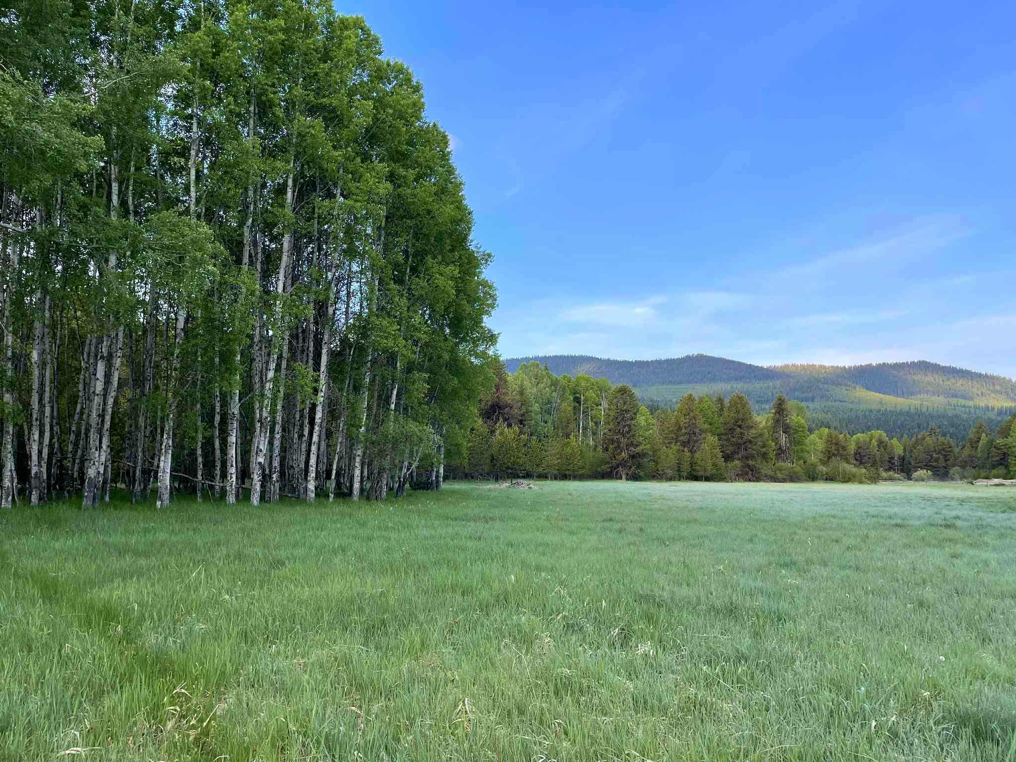 27687 Yaak River Road Property Photo 28