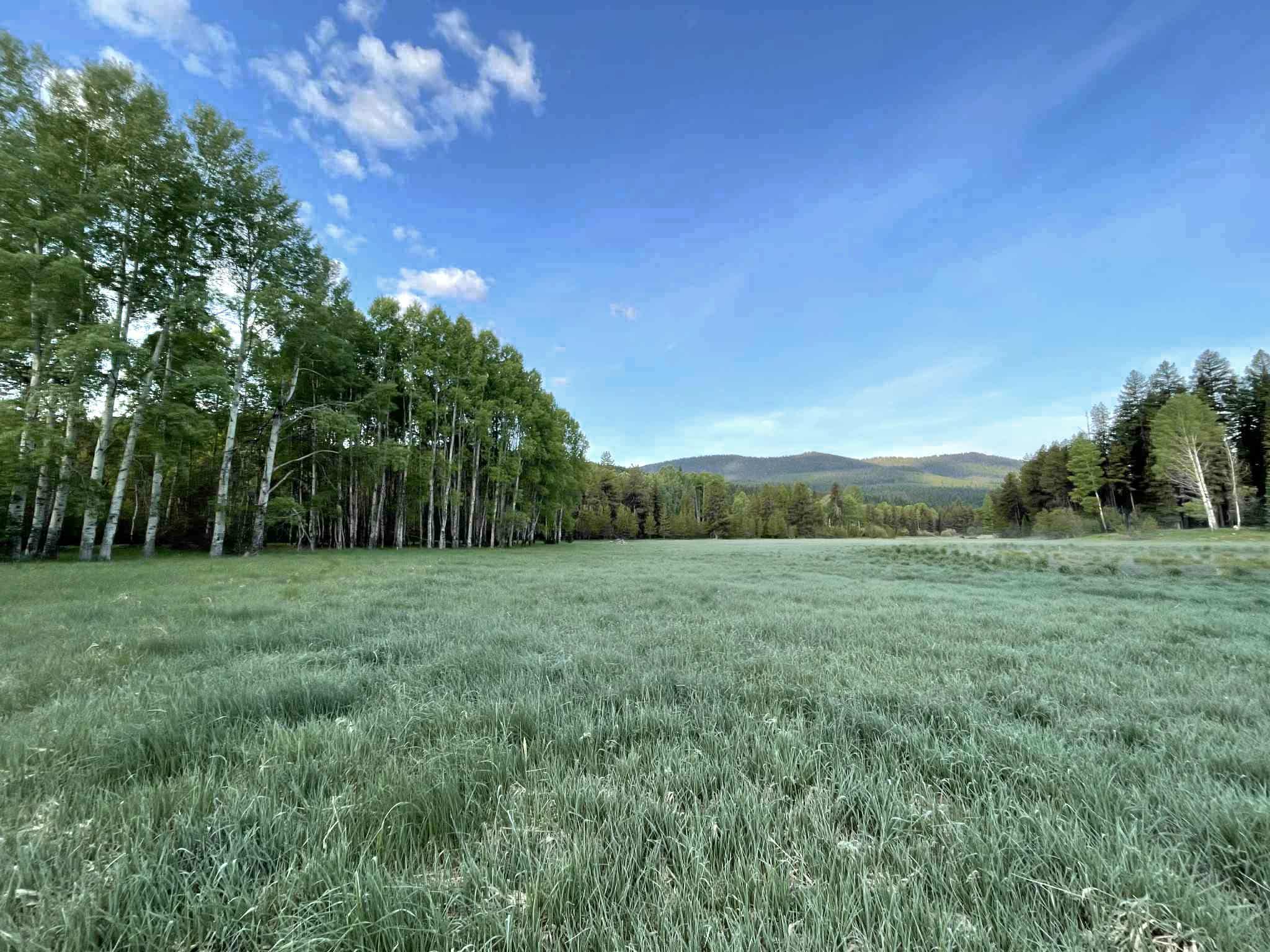 27687 Yaak River Road Property Photo 30