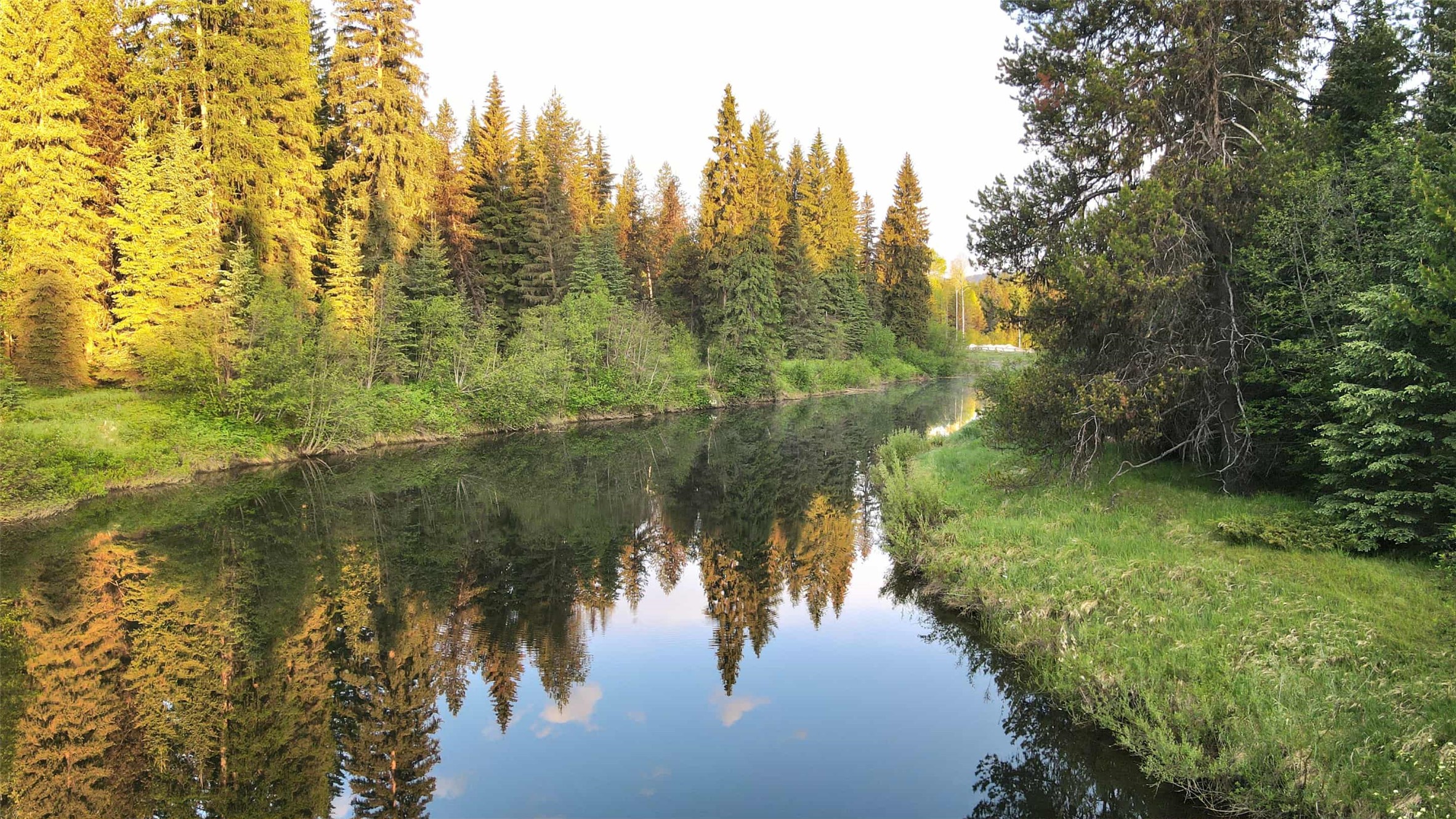 27687 Yaak River Road Property Photo 33