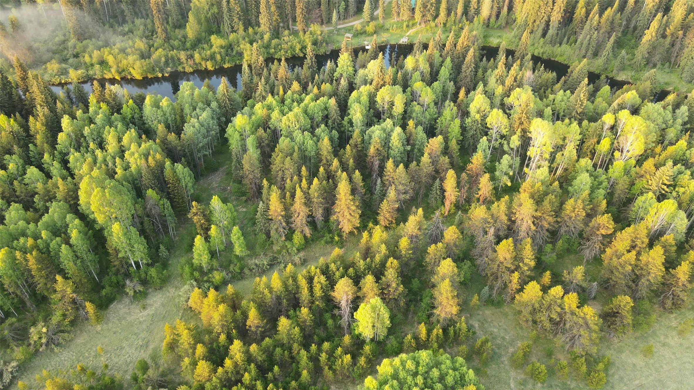 27687 Yaak River Road Property Photo 38