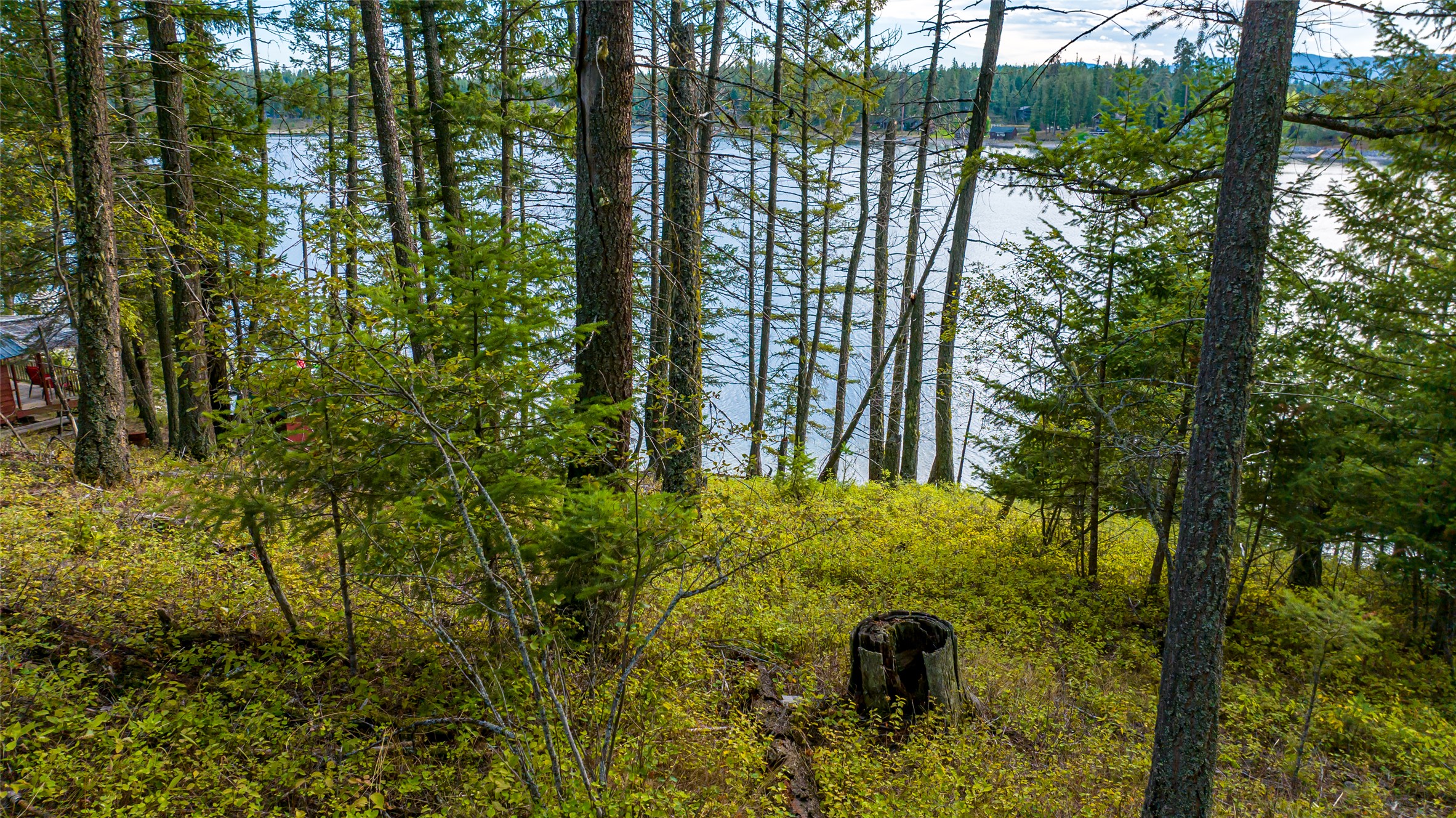 1818 Echo Cabin Loop Property Photo 8