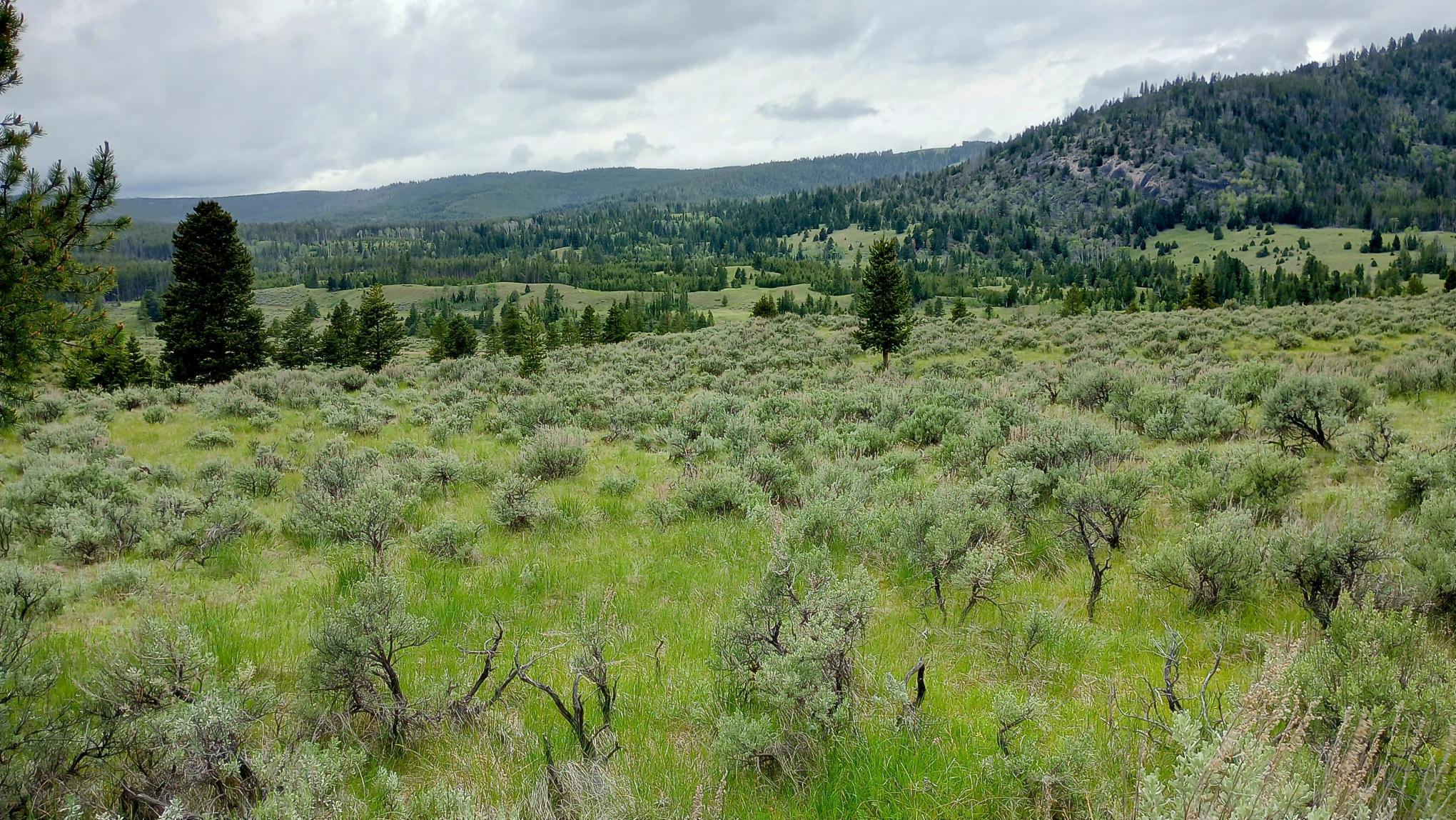 Nhn Moose Lake Road Lot 2 Property Photo 1