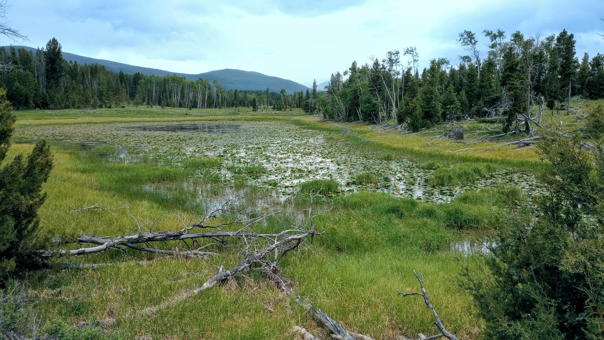 Nhn Moose Lake Road Lot 3 Property Photo 1