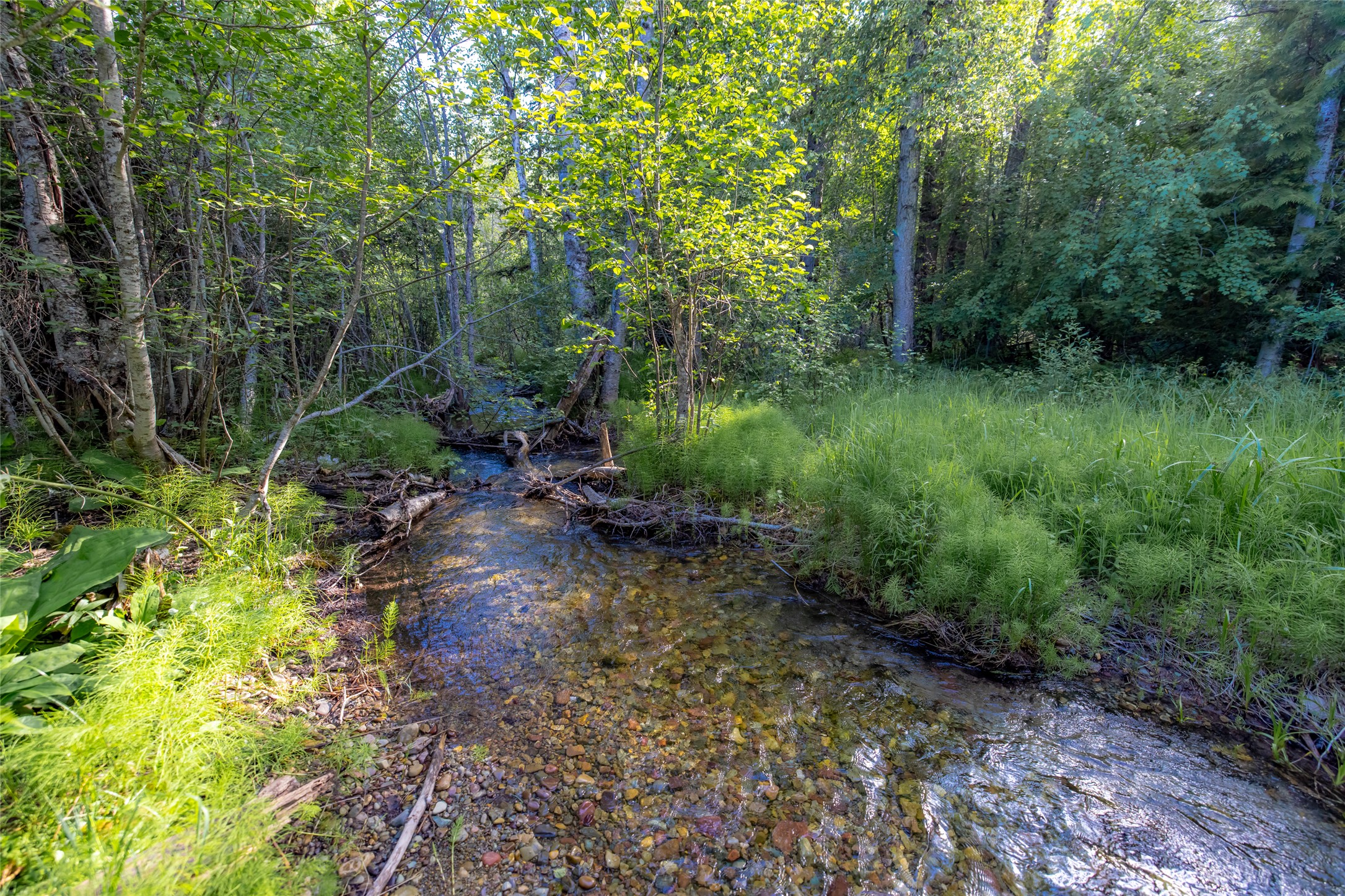 Nhn Trumble Canyon Road Property Photo 1