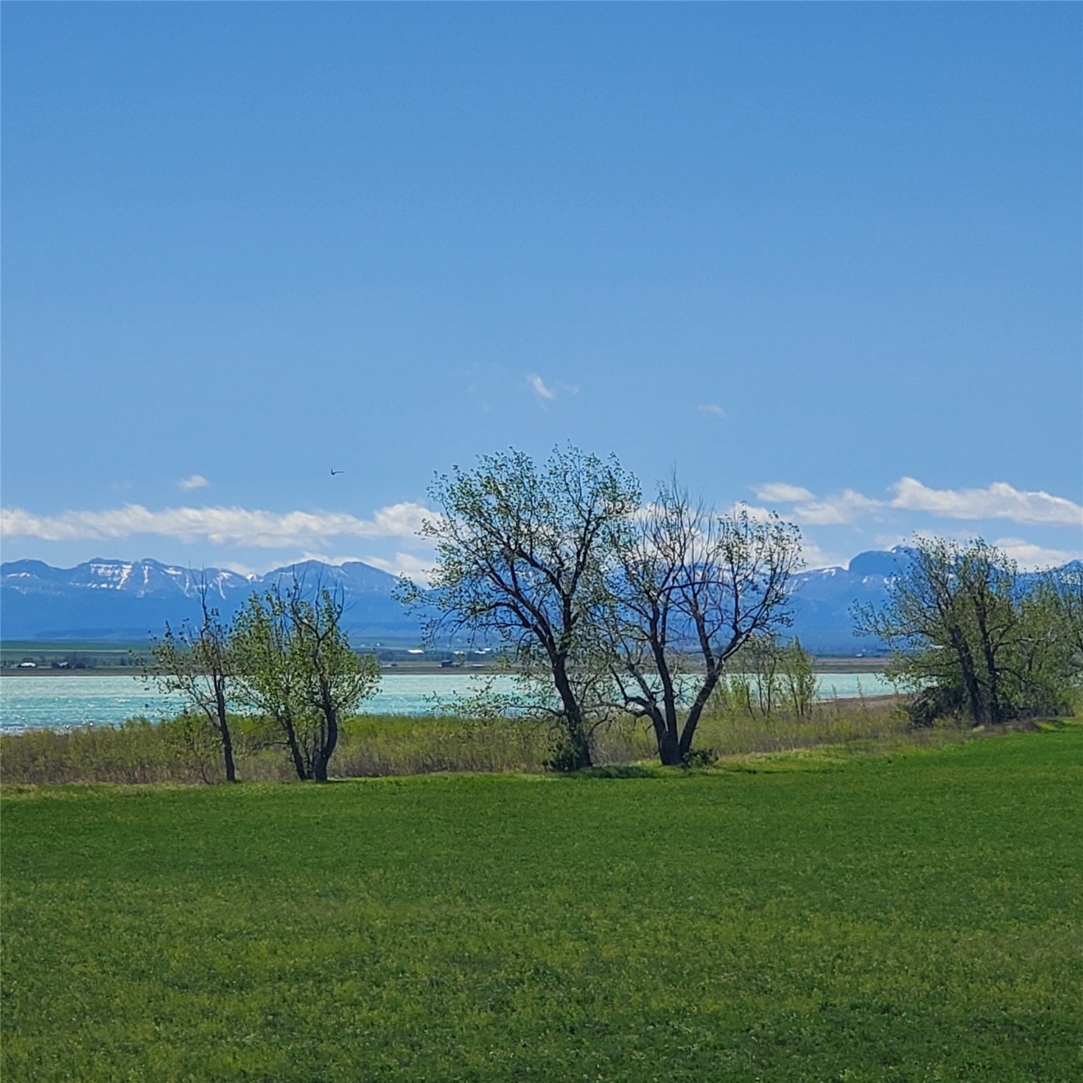 730 Iowa Avenue Lot 9 Property Photo 10