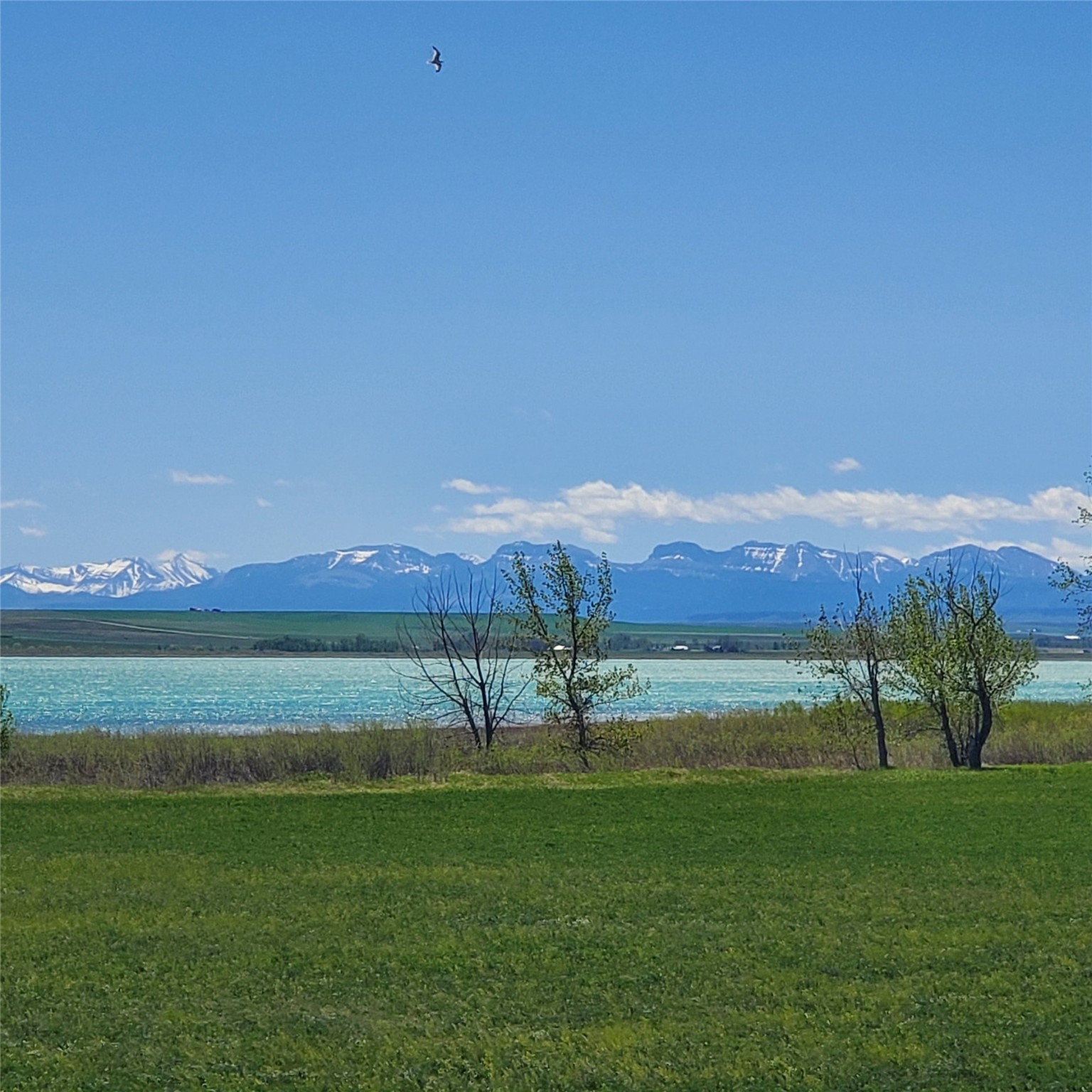 730 Iowa Avenue Lot 9 Property Photo 11