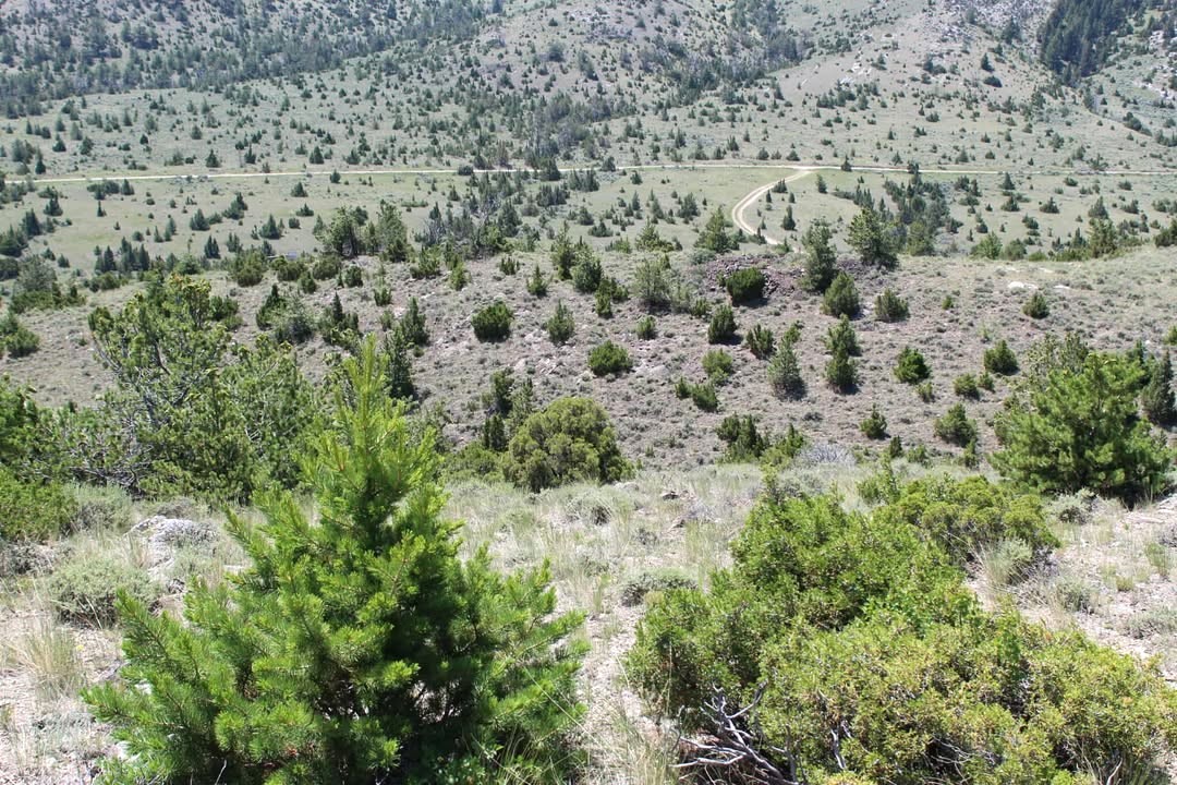 Tbd Red Wing Lode Ms 3180 & Elgin Lode Ms 3181 Property Photo 1