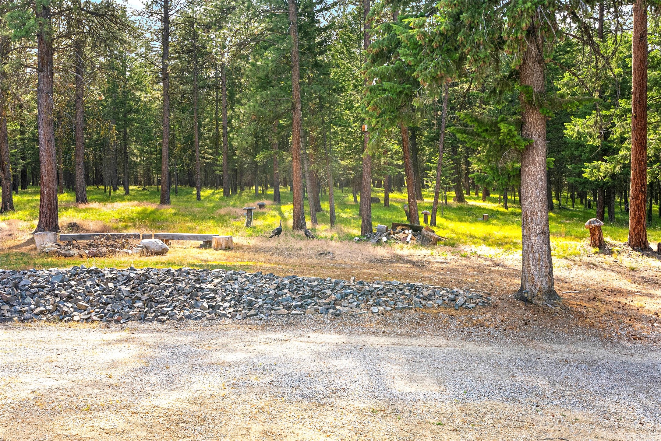 558 Timber Trail Property Photo 9