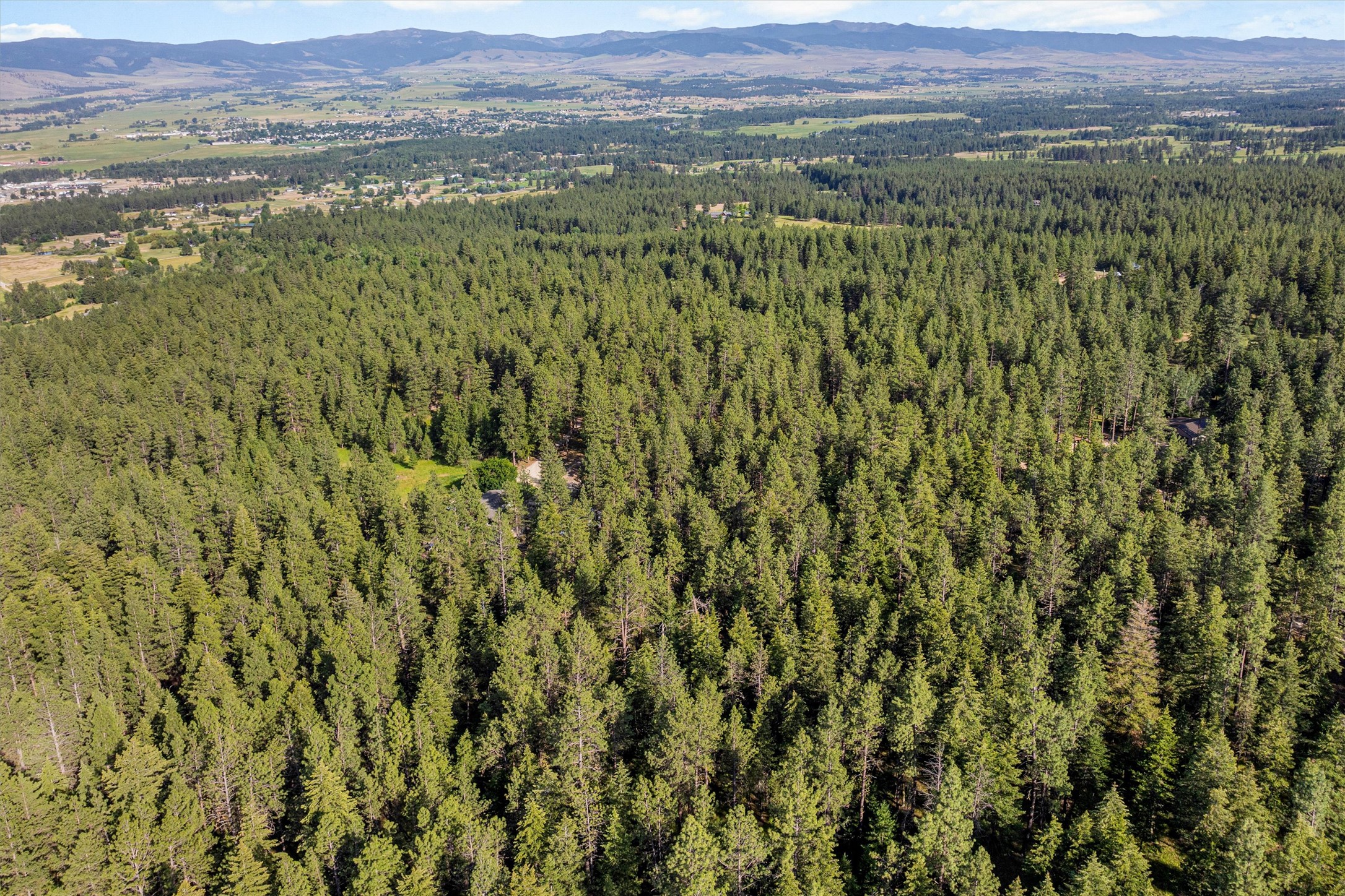 558 Timber Trail Property Photo 43