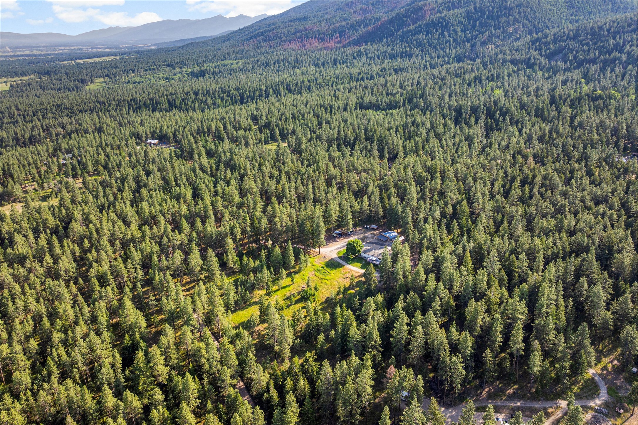 558 Timber Trail Property Photo 46
