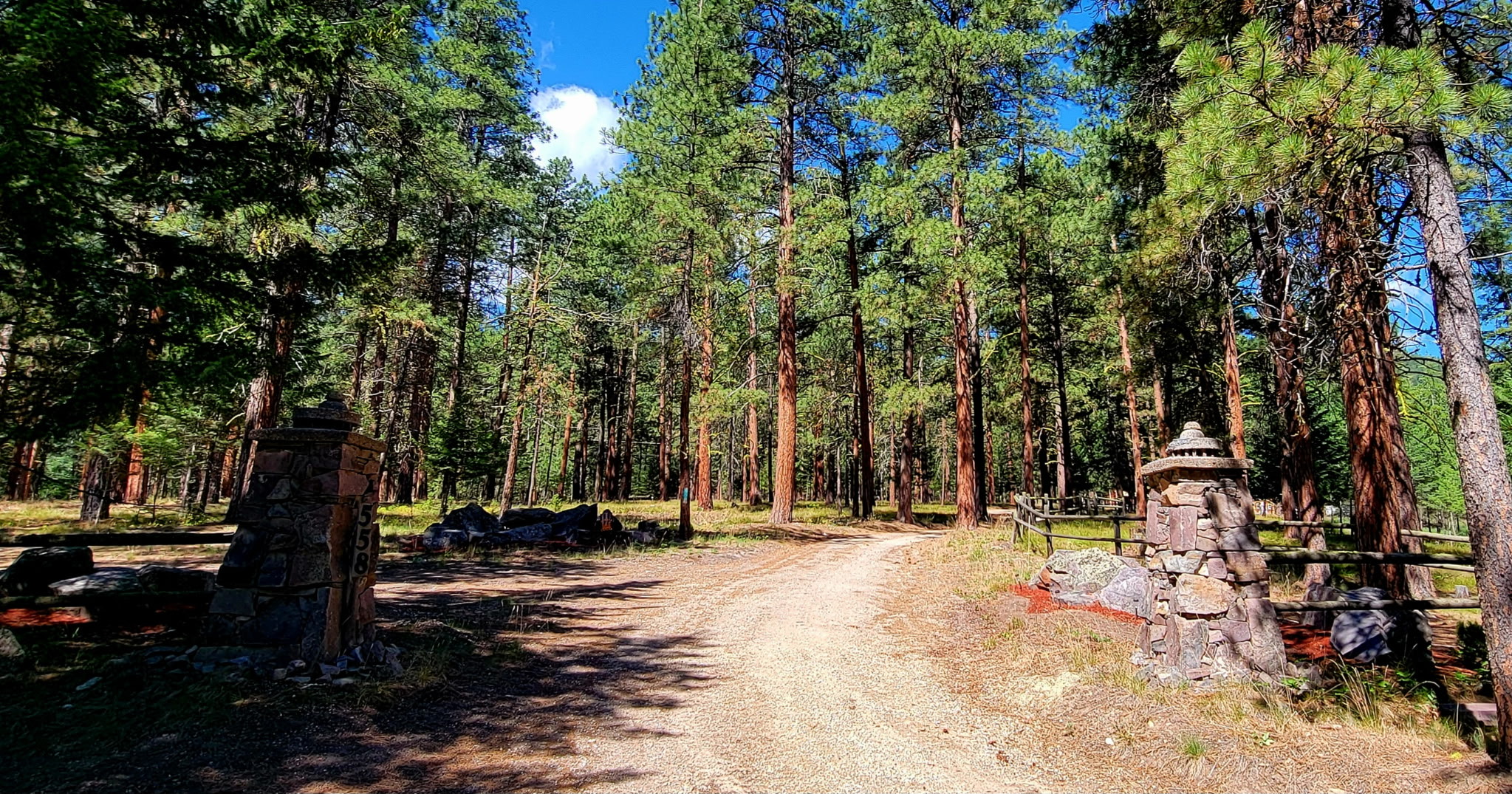 558 Timber Trail Property Photo 57
