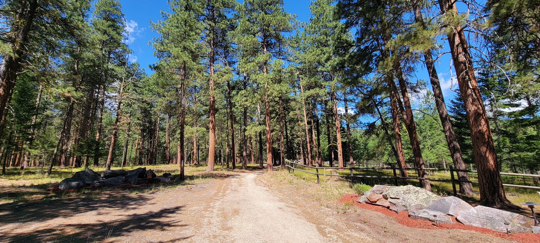 558 Timber Trail Property Photo 58