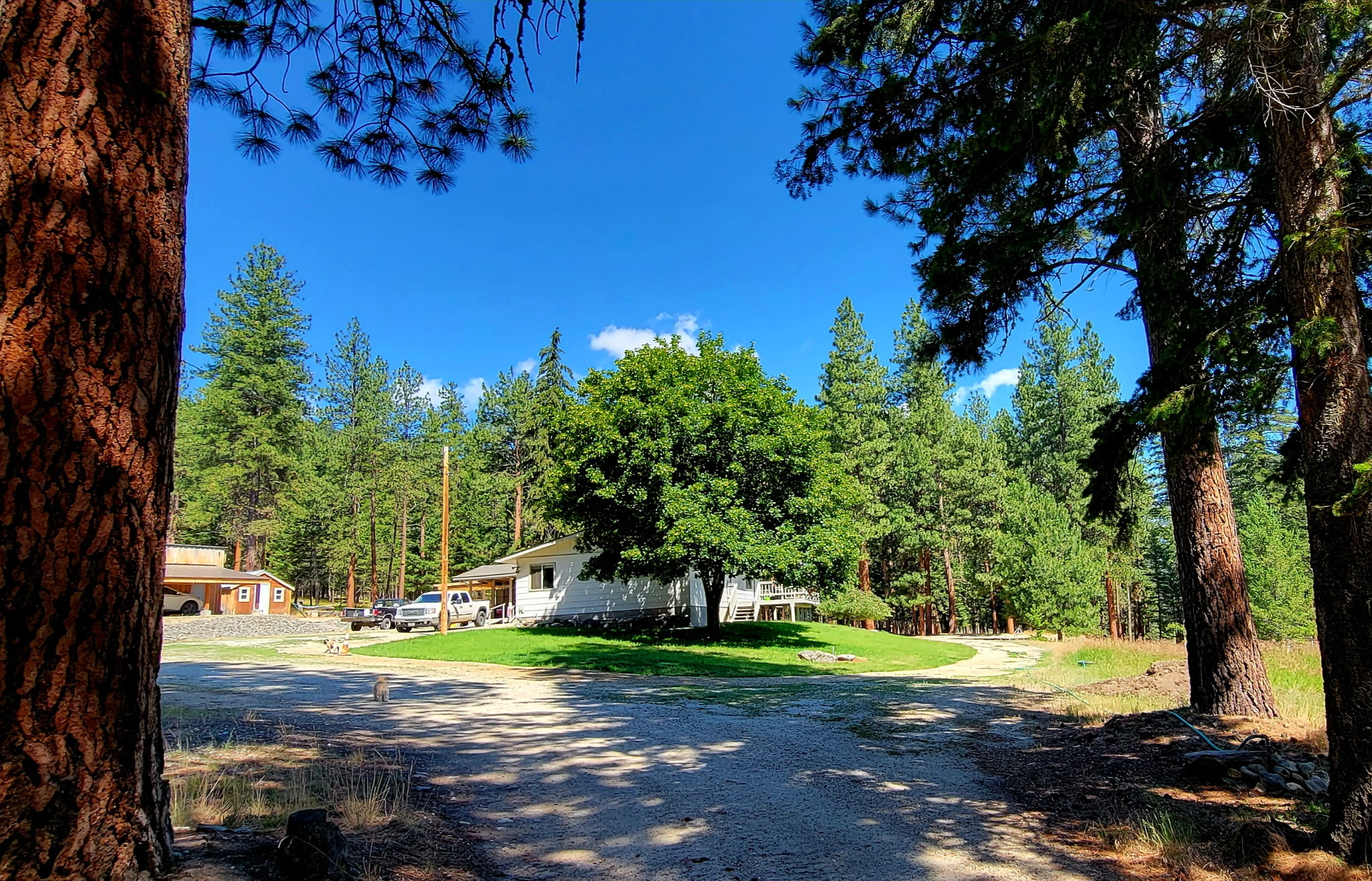 558 Timber Trail Property Photo 59